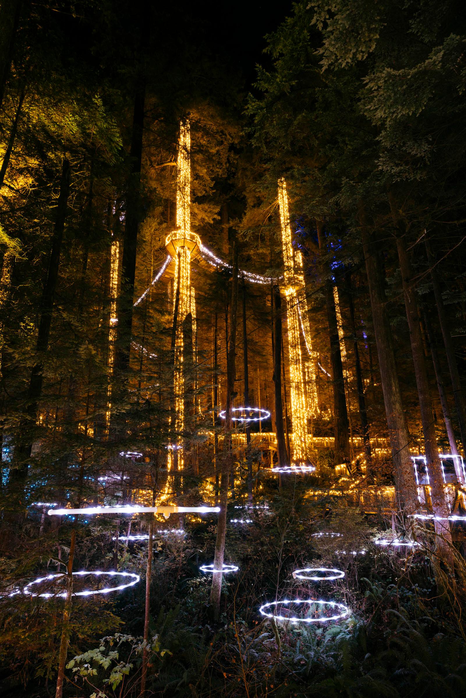 Capilano Suspension Bridge Park Entry