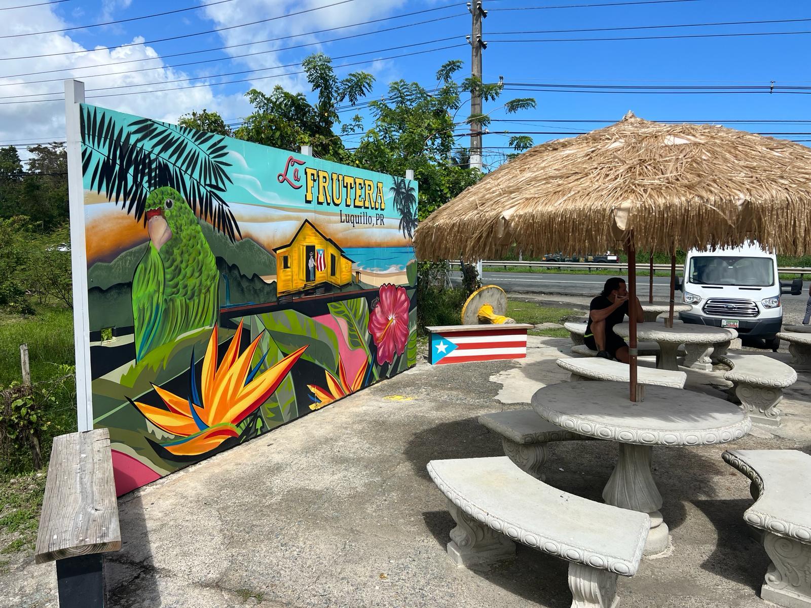 El Yunque Rainforest Adventure: Waterfalls, Slides & Luquillo Beach