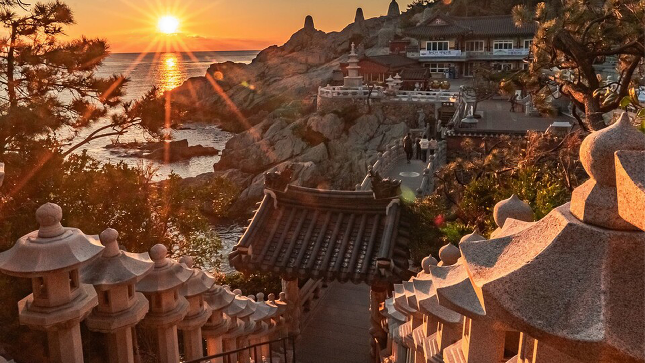 Busan Highlights: Small-Group Day Tour with Hotel Pickup