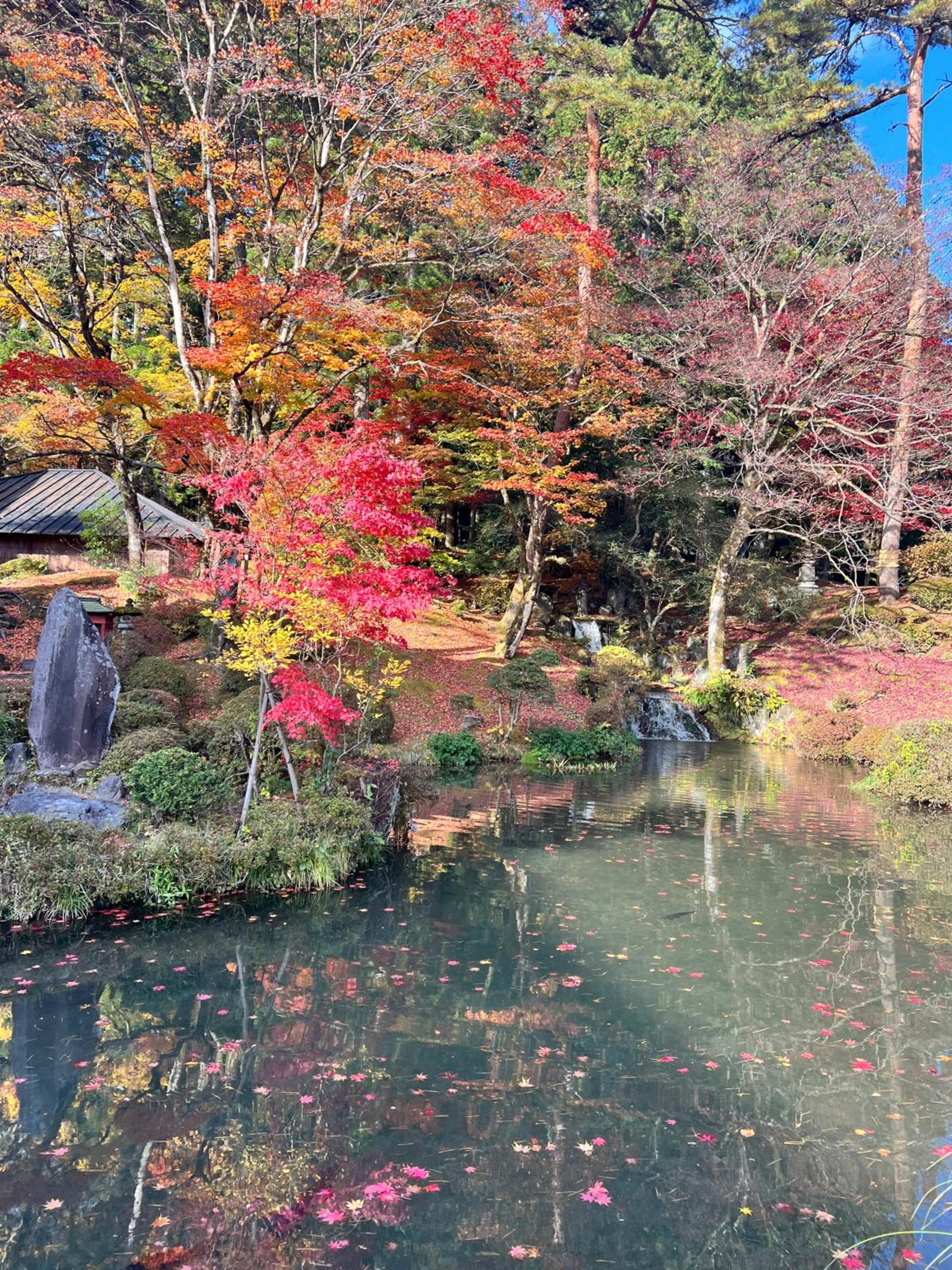 Nikko Private Full-Day Tour with English-Speaking Driver-Guide