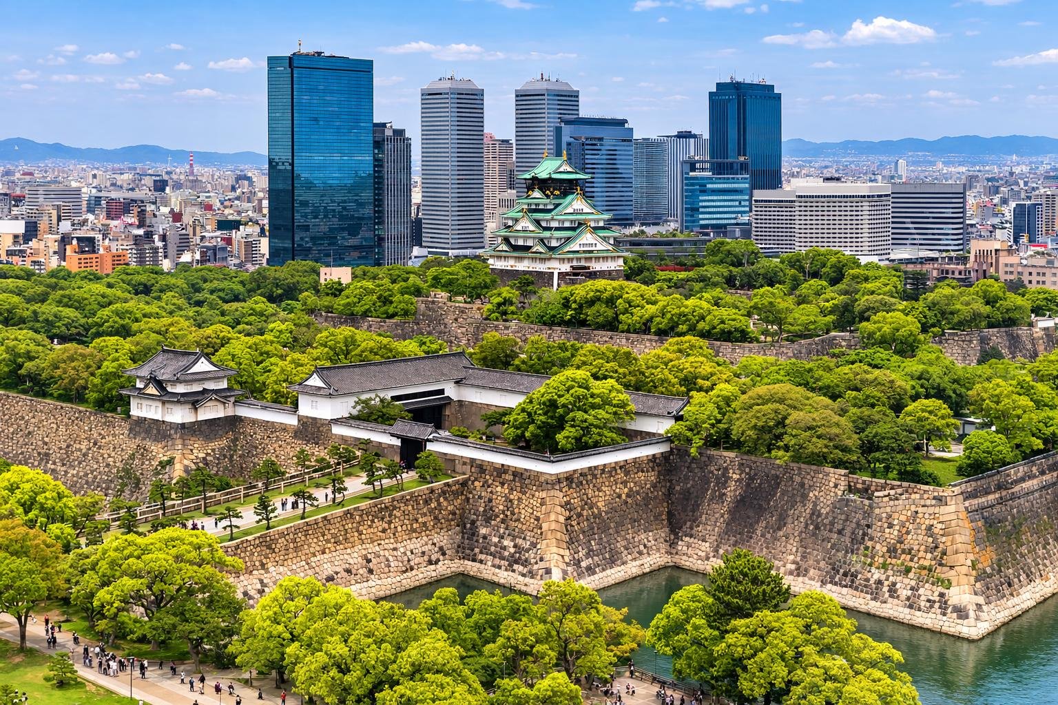 Osaka Walking Tour with Local Guide