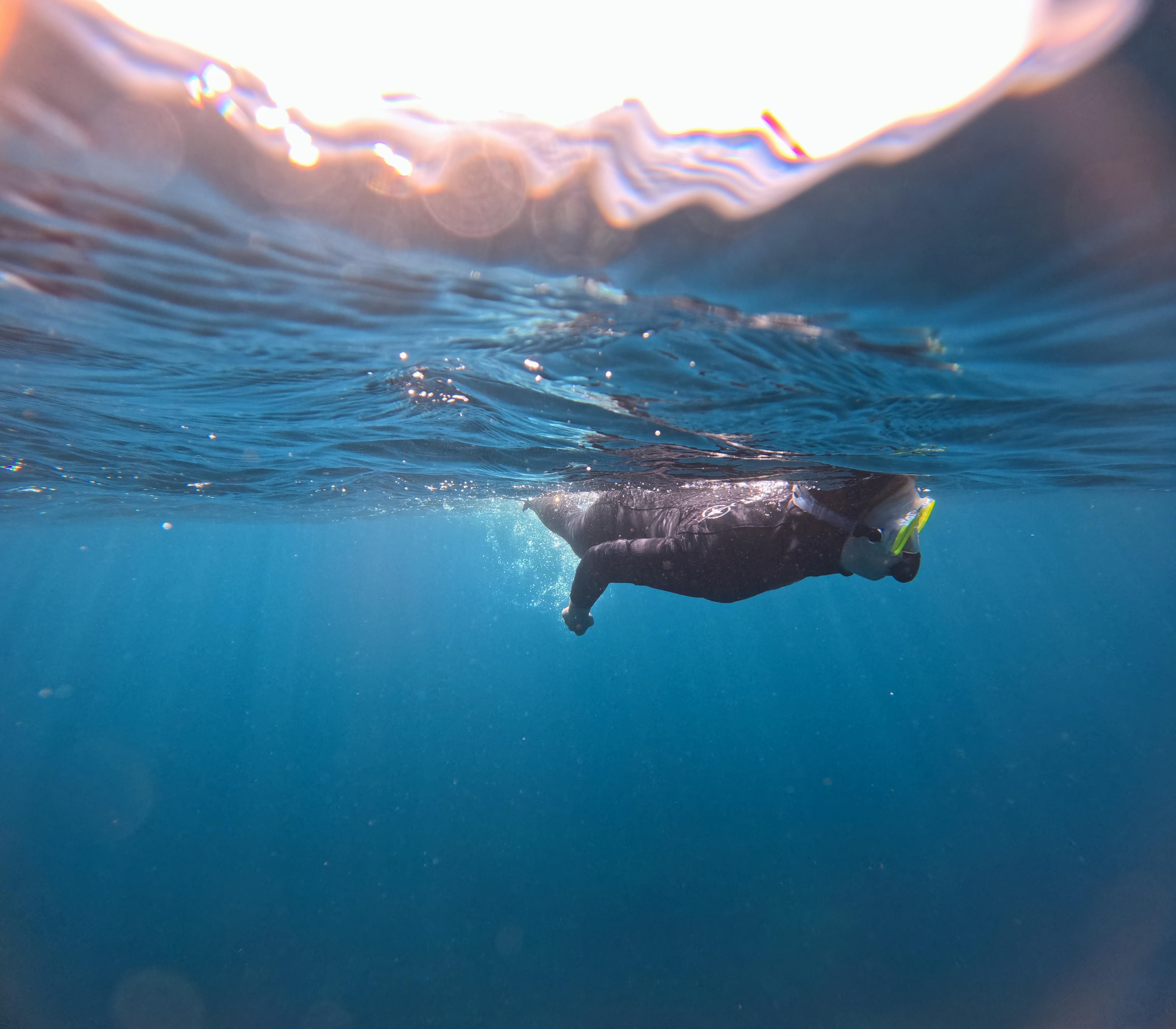 Pico Island Guided Snorkeling Tour with Photos