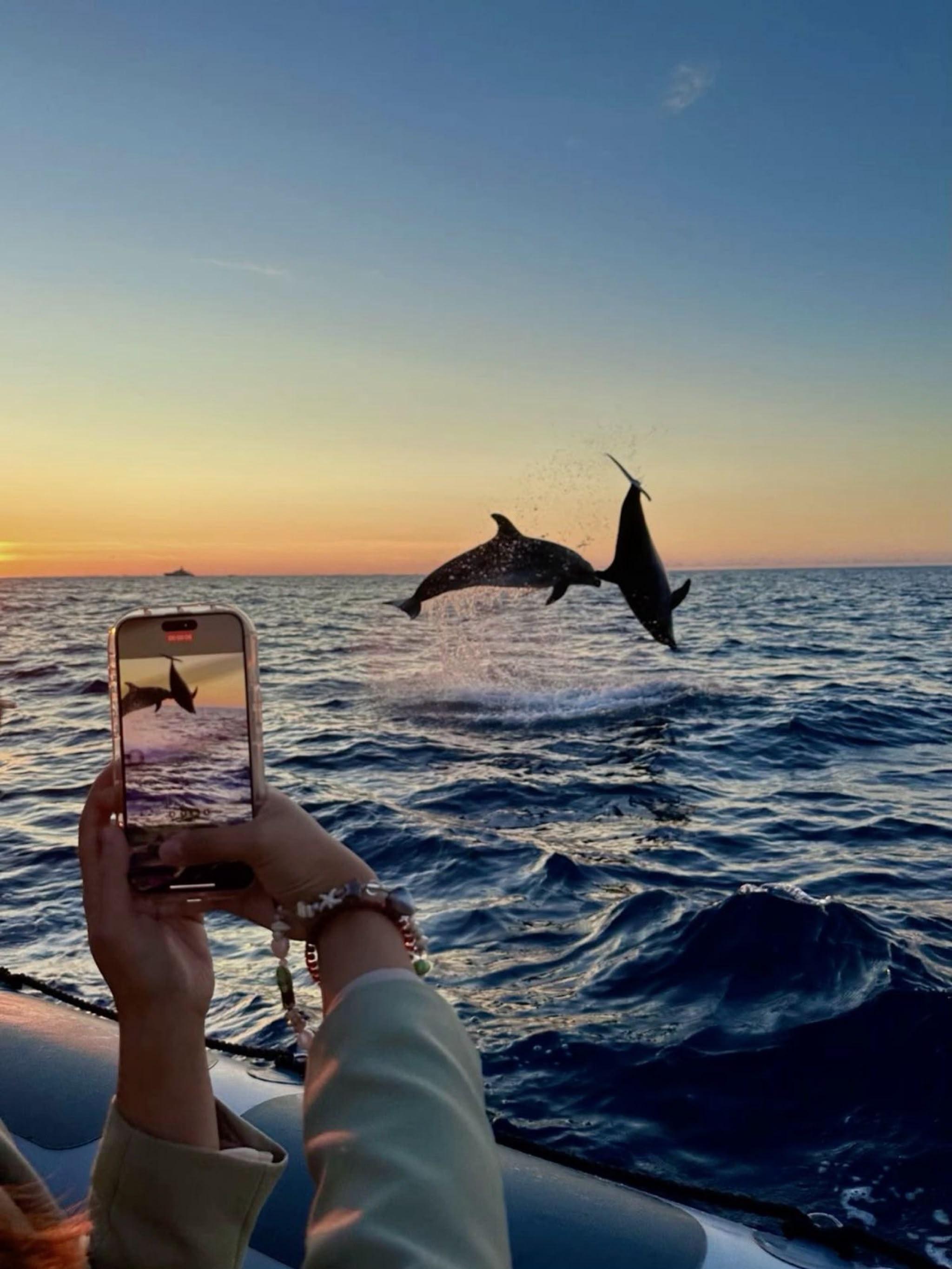 Lovina Dolphin Encounter & Coral Snorkel Adventure