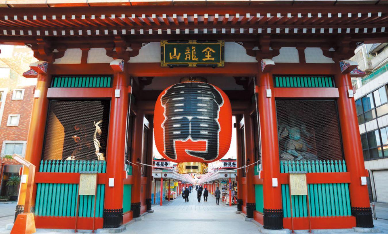 Dynamic Tokyo Full-Day Tour: Tea Ceremony, Buffet Lunch & Bay Cruise