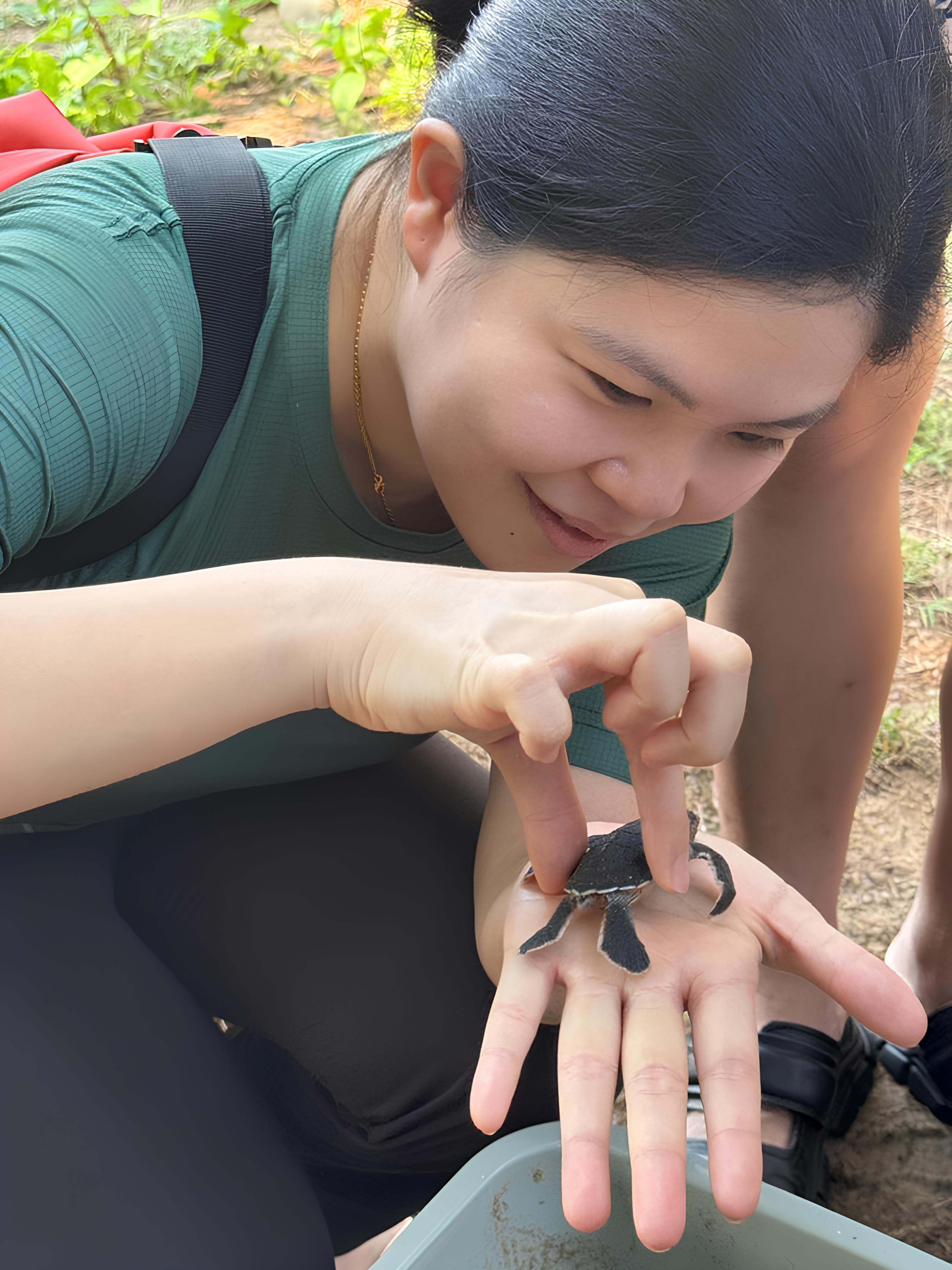 Satang Island Marine Adventure with Dolphins & Turtles