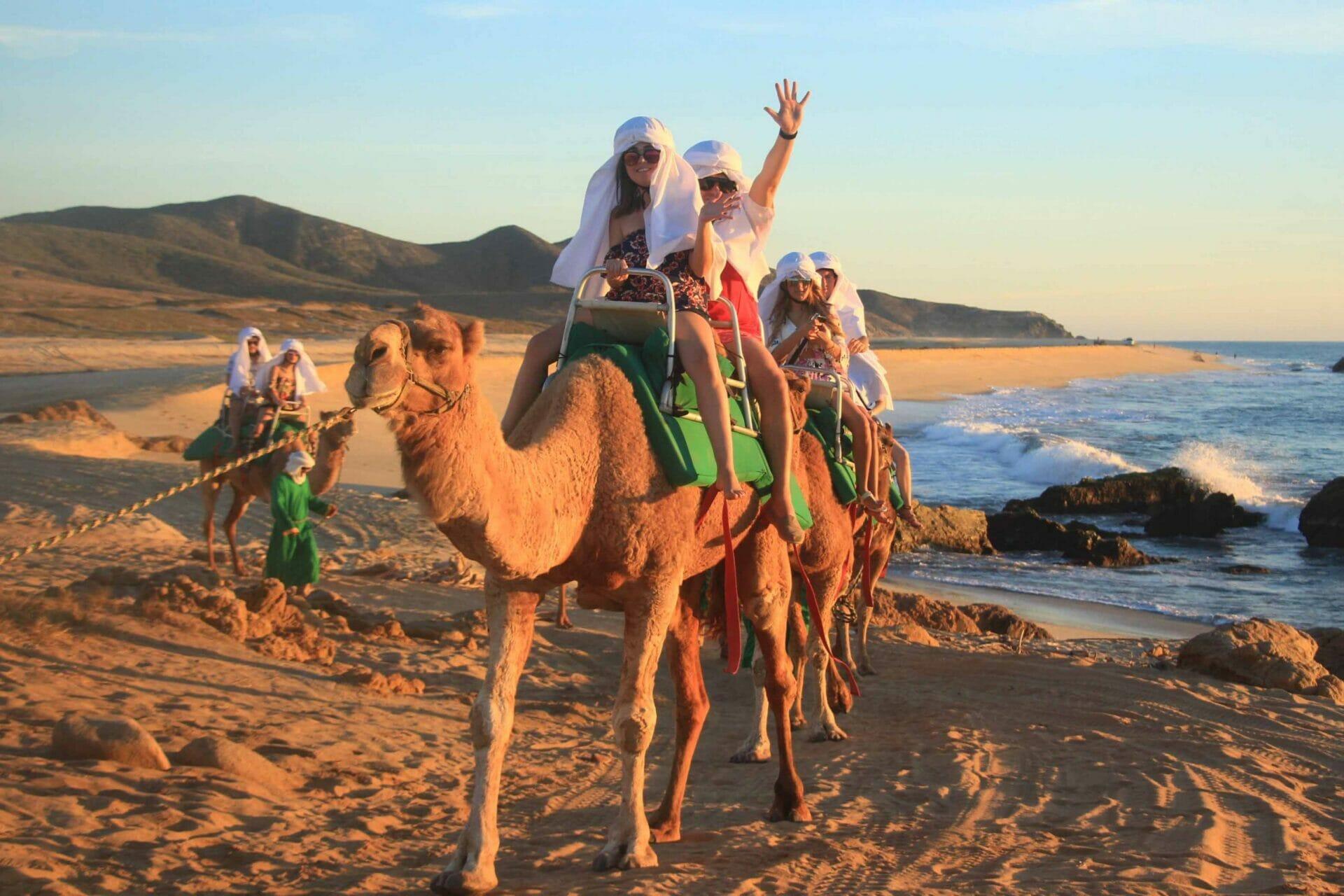 Cabo Desert Camel Ride with Mexican Buffet & Tequila Tasting