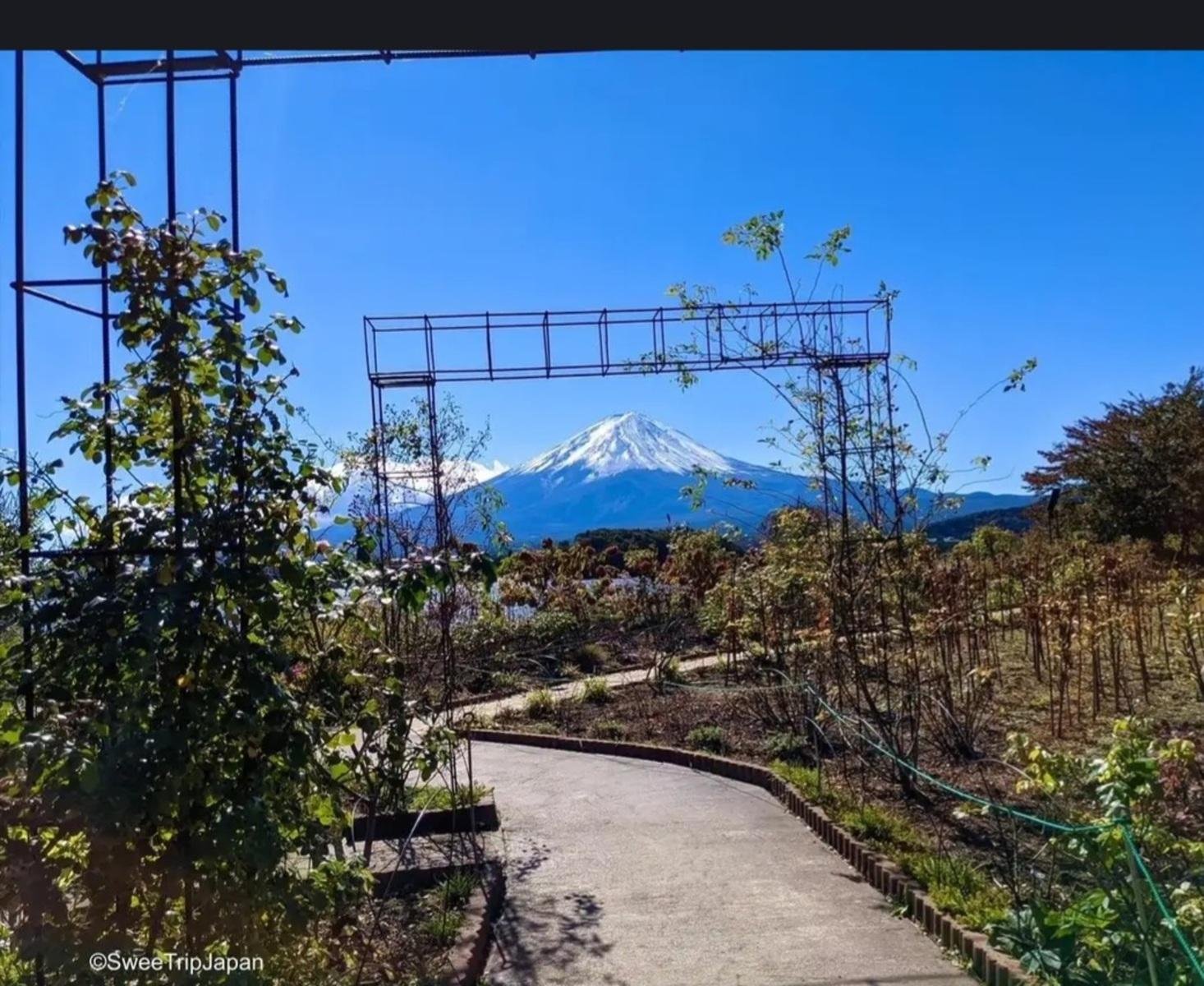 Tokyo to Mt. Fuji & Hakone Private Day Tour