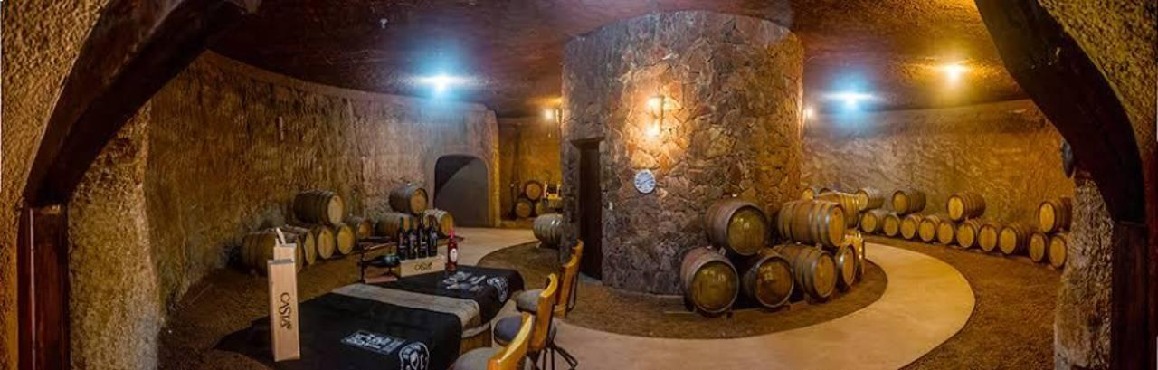 wine tour in Valle de Guadalupe — From Tijuana: Valle de Guadalupe Shared Winery Tour - 2026 (Verified Reviews)