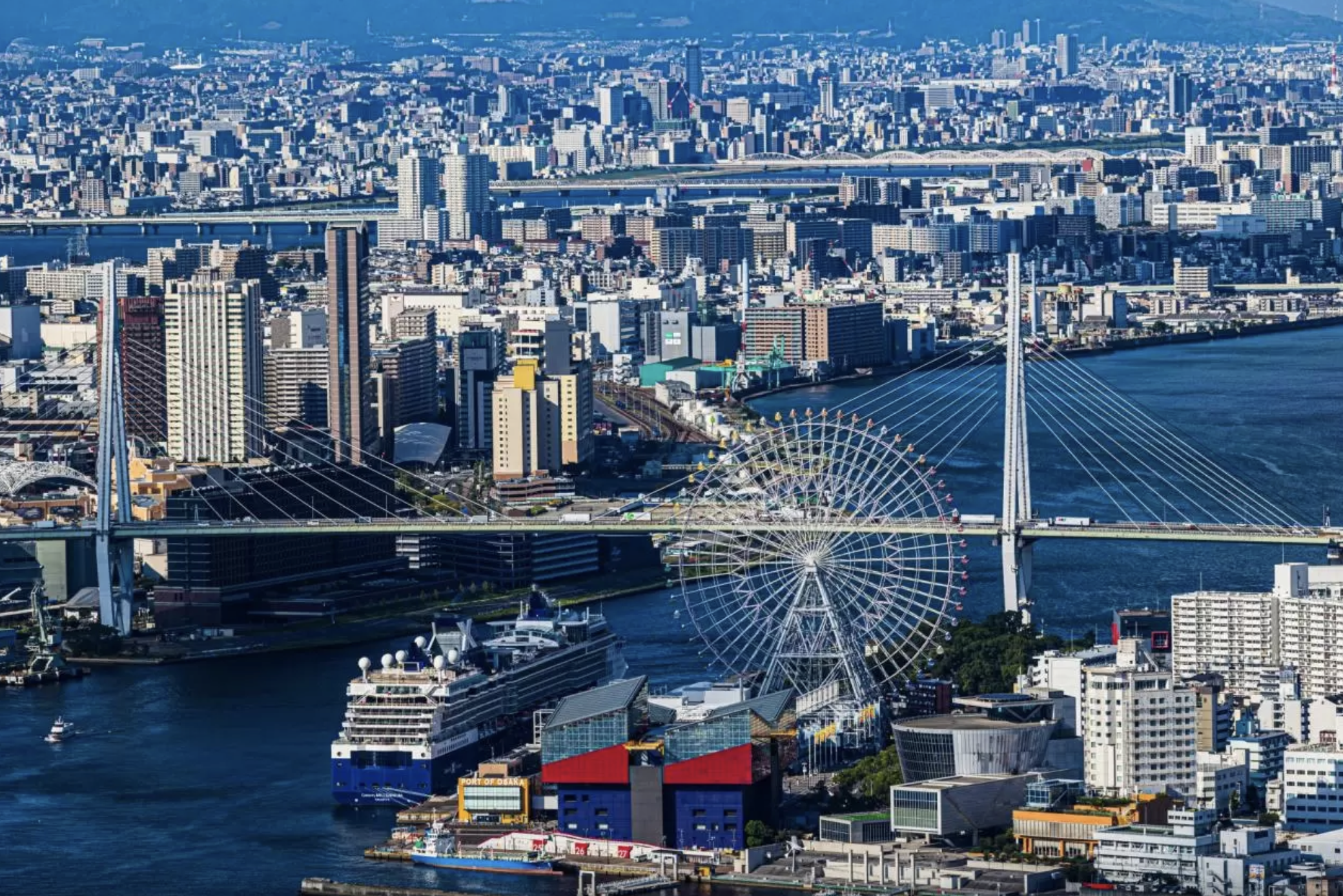 Osaka Nemophila Festival & Aquarium Spring Day Trip