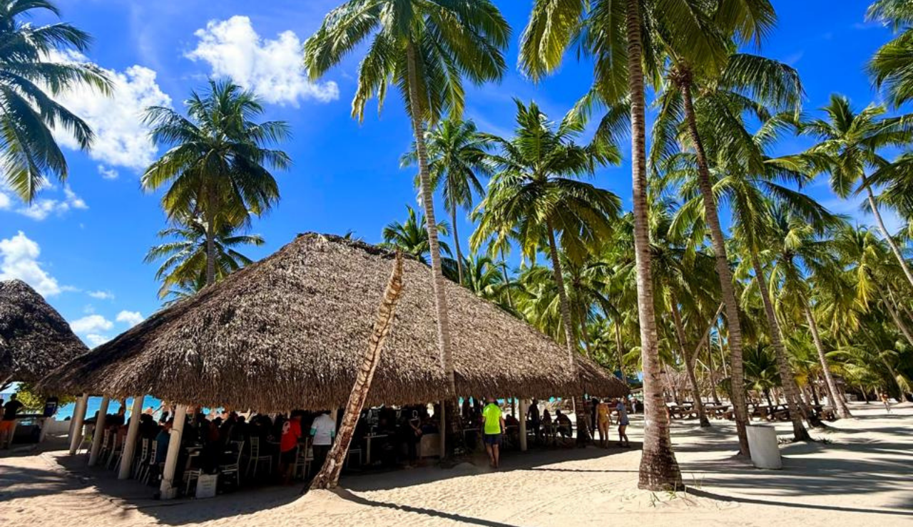 Saona Island Catamaran & Natural Pool Day Trip
