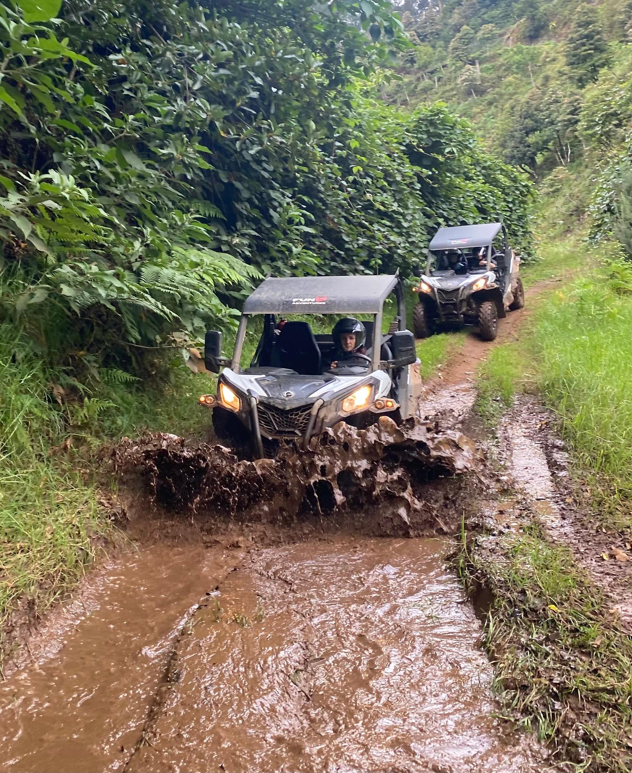 Madeira Off-Road Tandem Buggy Adventure Through Laurisilva Forest