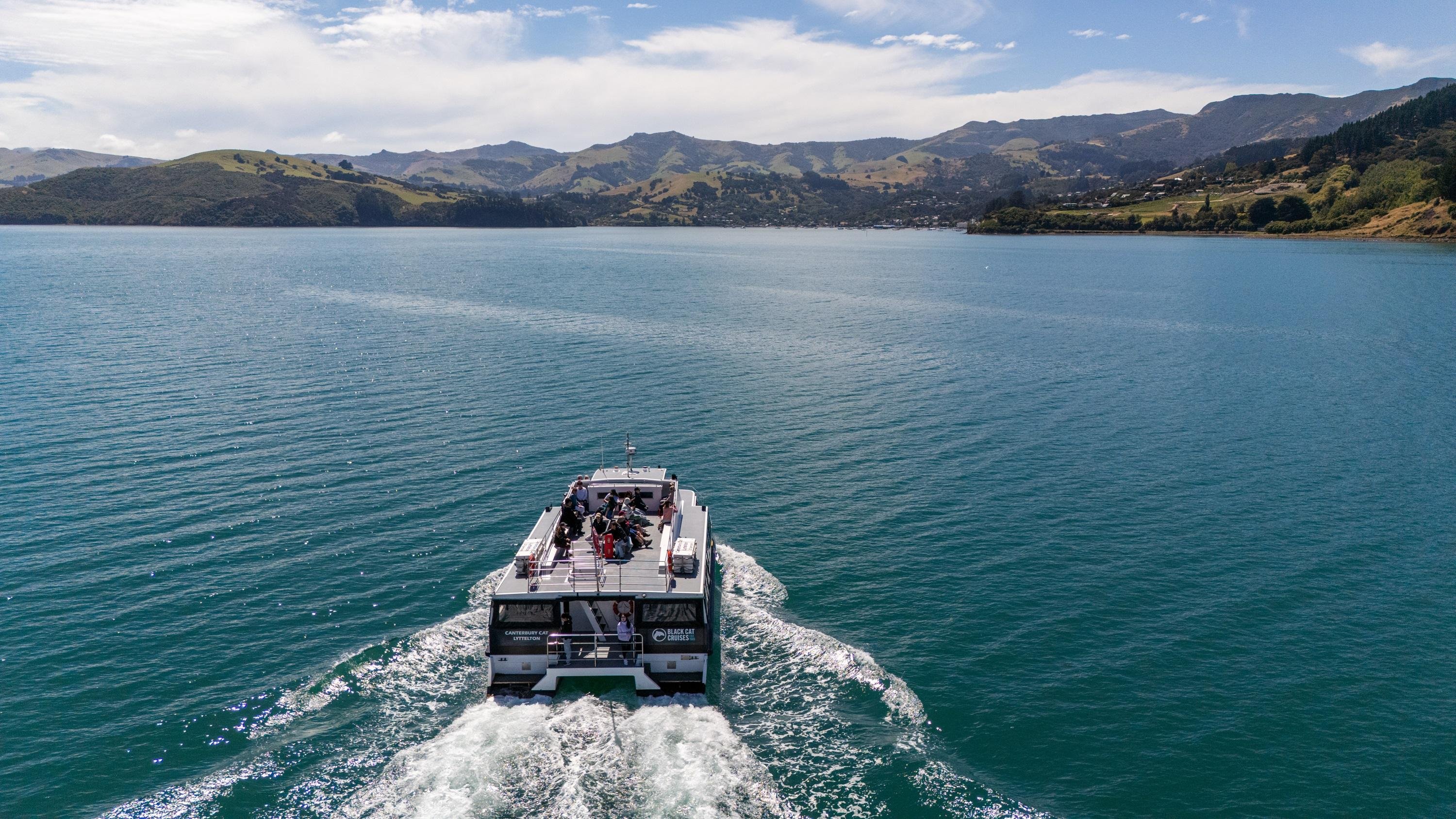 Akaroa Harbour 2-Hour Dolphin Nature Cruise