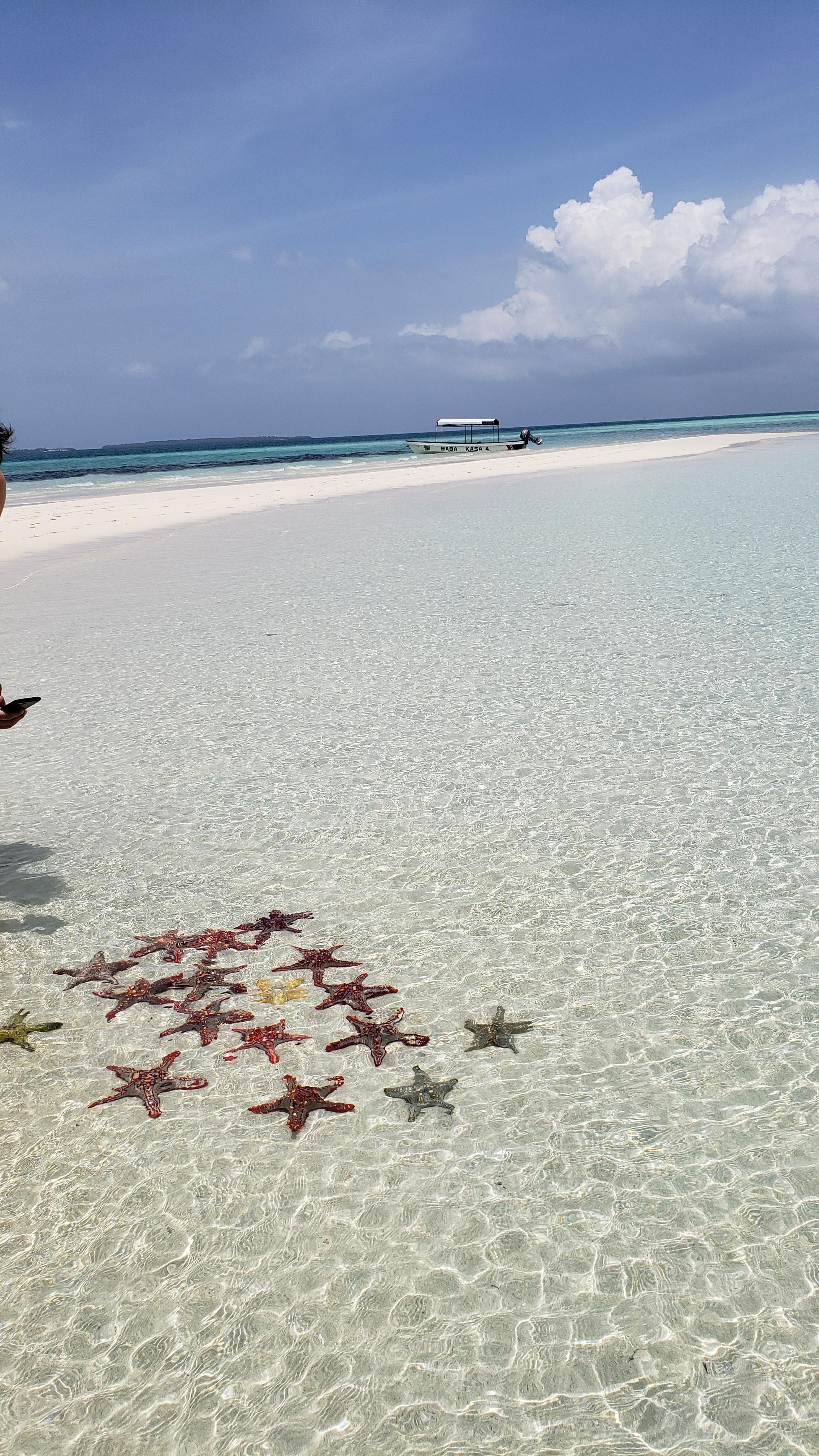 Mnemba Atoll Dolphin & Snorkel Boat Adventure from Kendwa or Nungwi