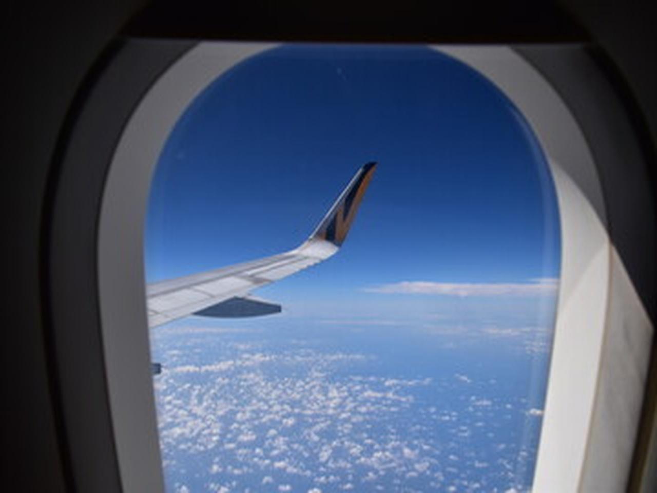 Kansai Airport to/from Osaka/Kyoto/Sakai - Shared Transfer - 2026 (Verified Reviews)
