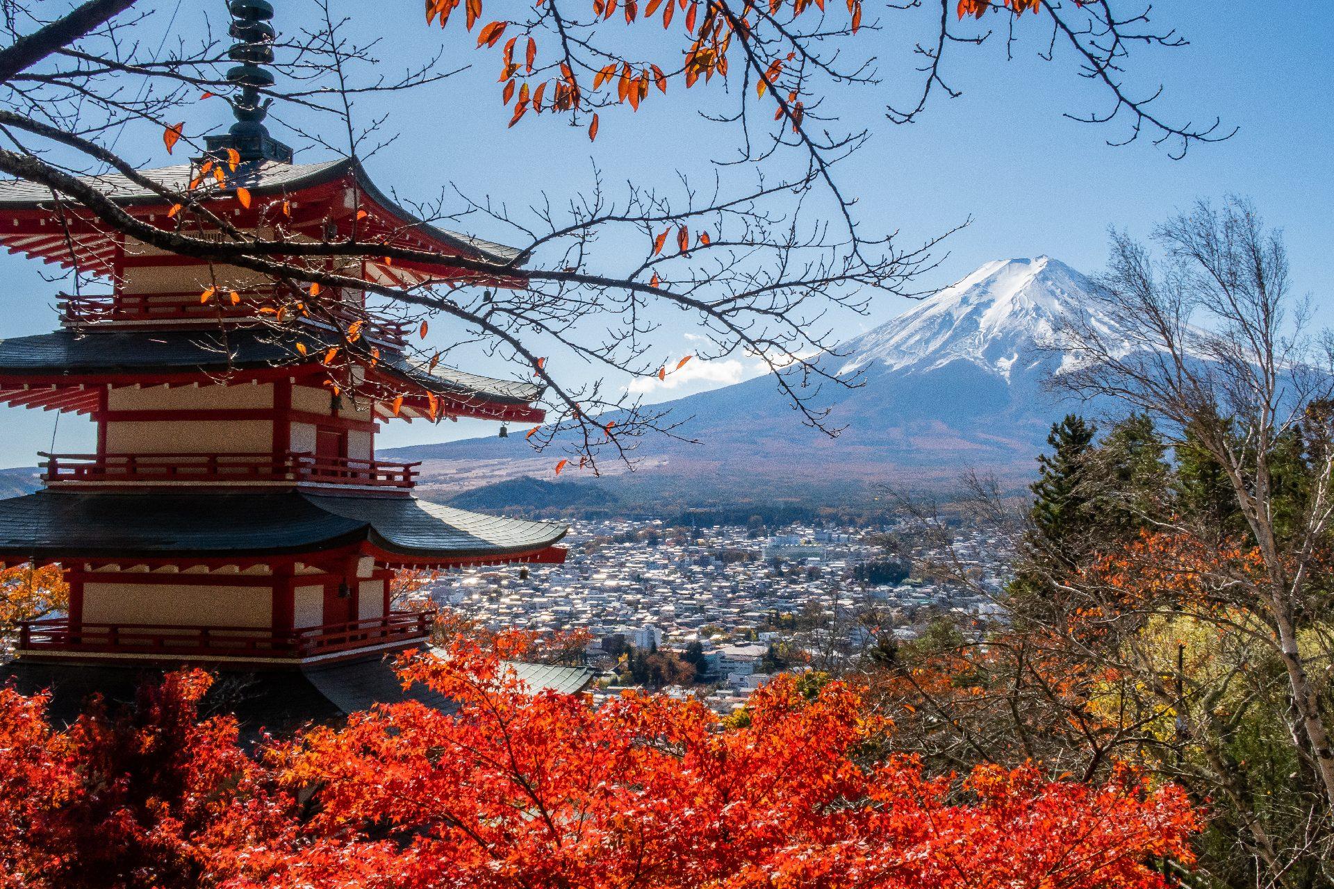 Mt Fuji day trip from Tokyo — image 18