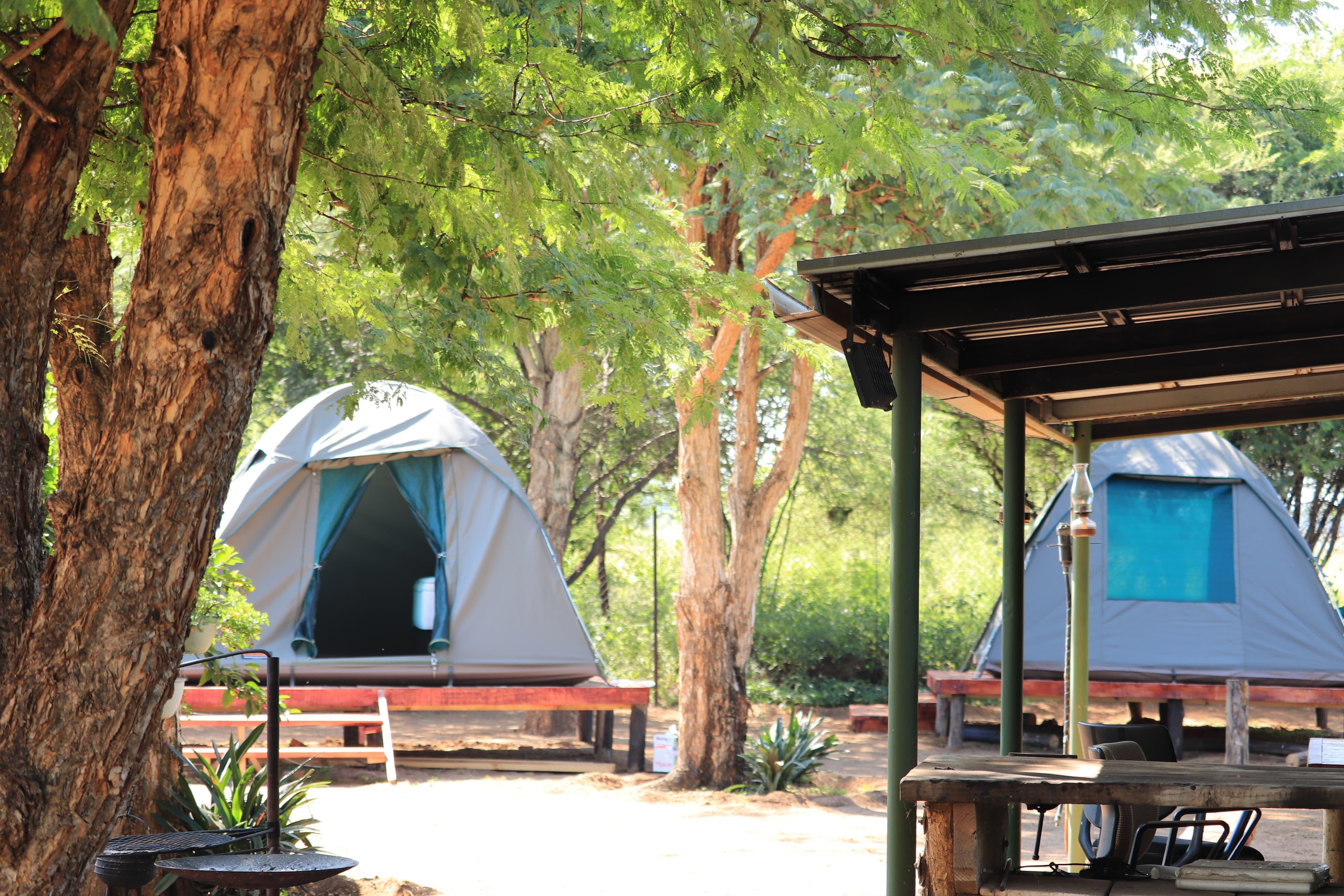 3-Day Pilanesberg Safari Camping Experience
