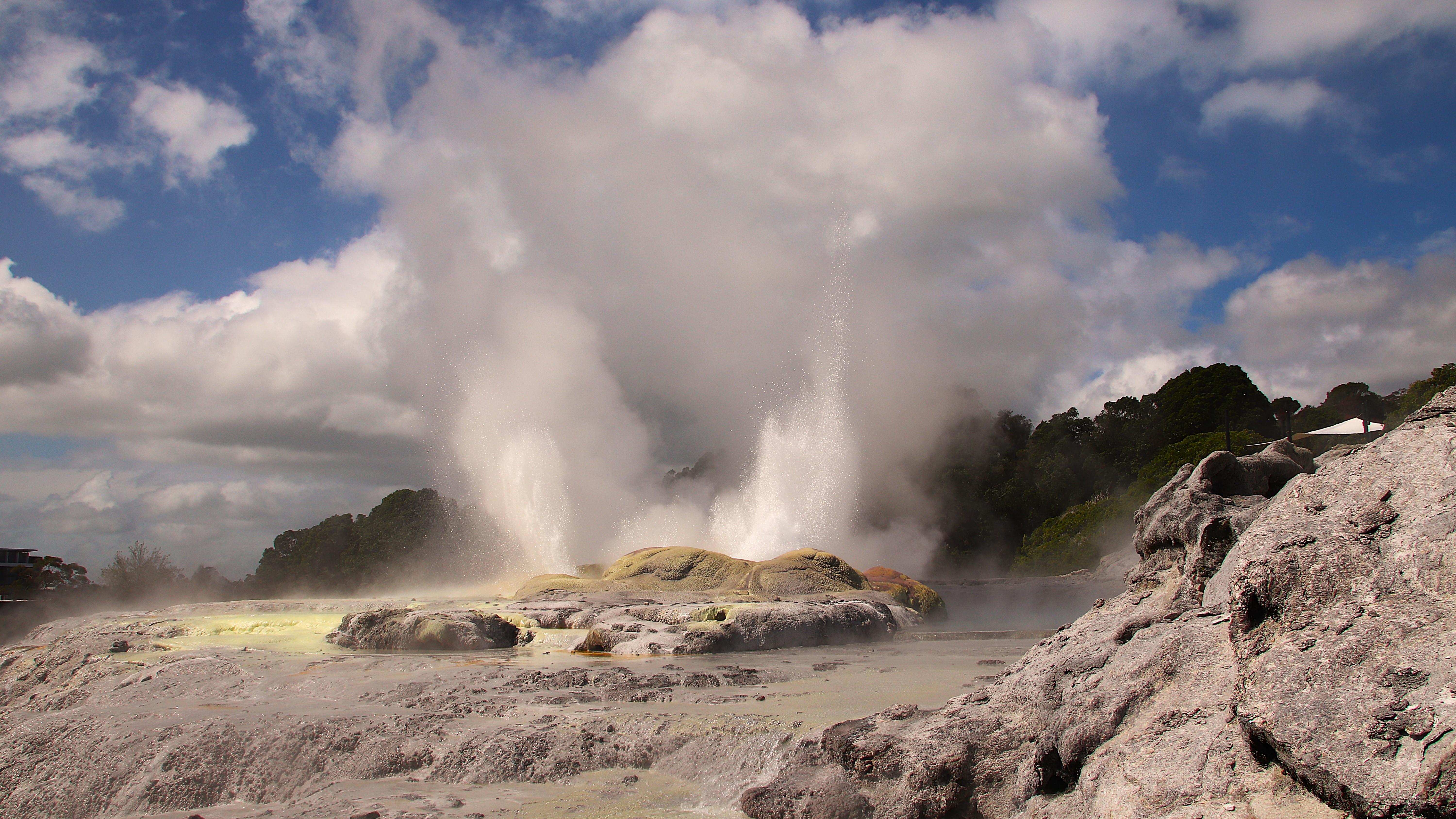 Rotorua Full-Day: Glowworm Caves, Redwoods & Te Puia