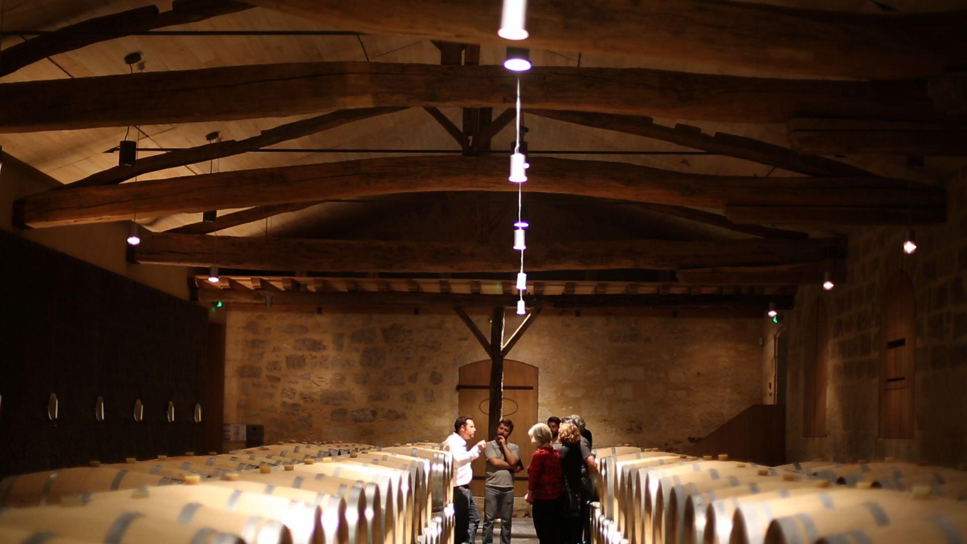 wine tour in Bordeaux — photo 6