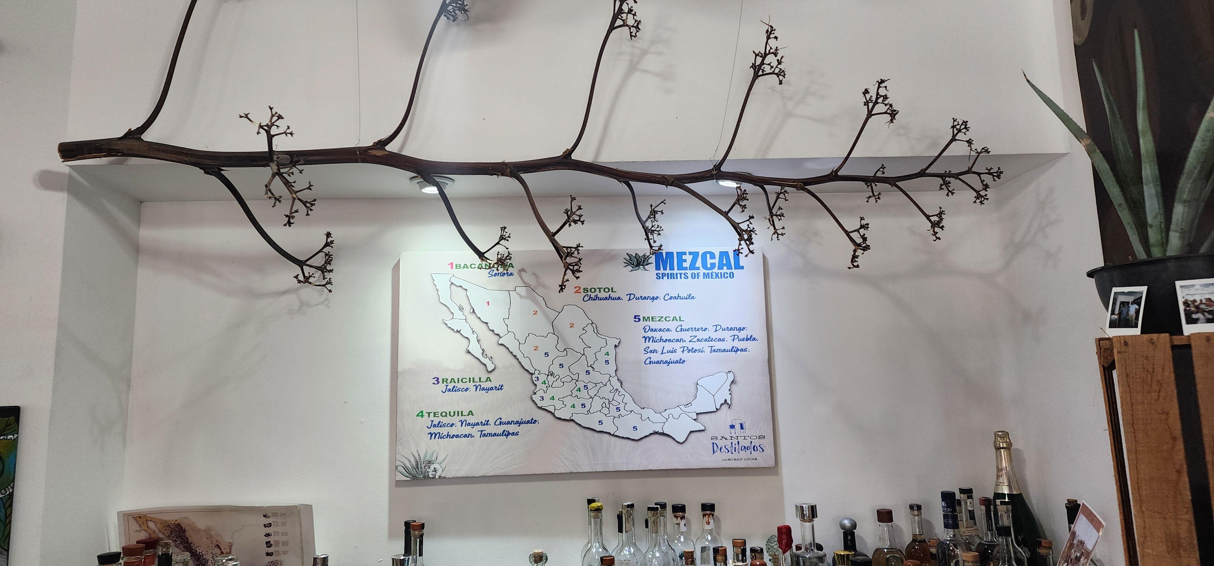 tequila tour in Los Cabos — photo 14