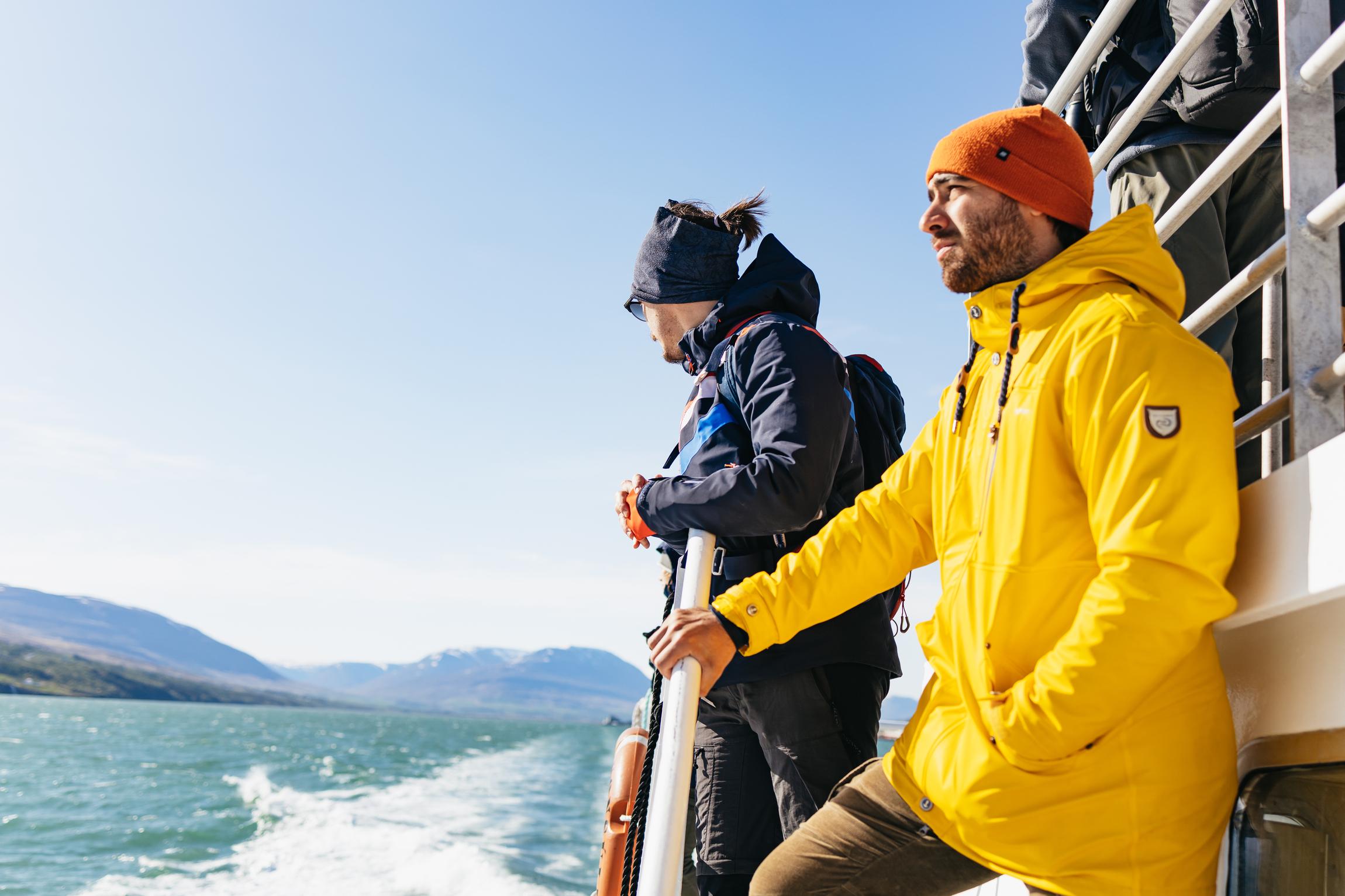 Eyjafjord Humpback Whale Cruise from Akureyri