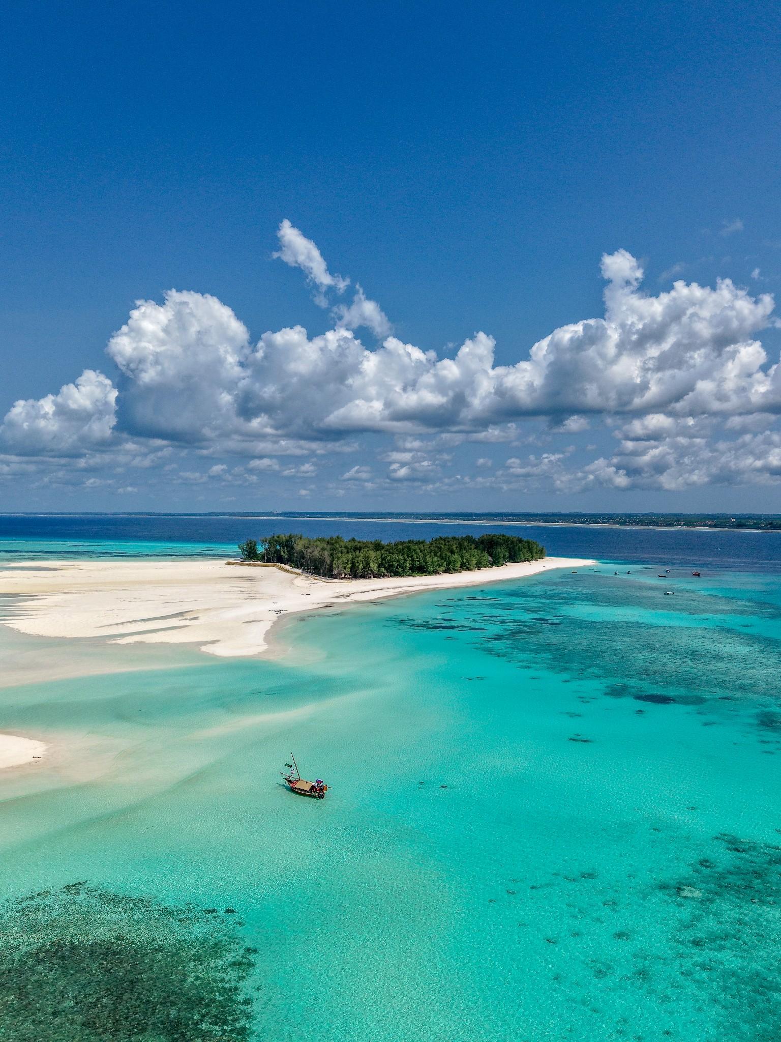 Mnemba Island Full-Day Dhow Sail: Dolphins, Snorkeling & BBQ