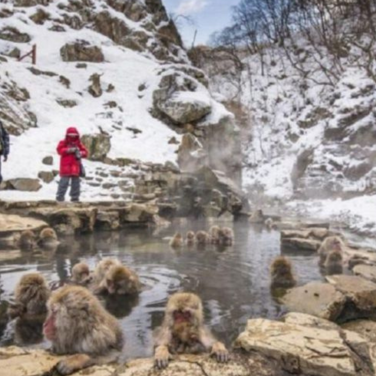 Nagano Private Day Tour: Snow Monkeys, Zenkoji Temple & More