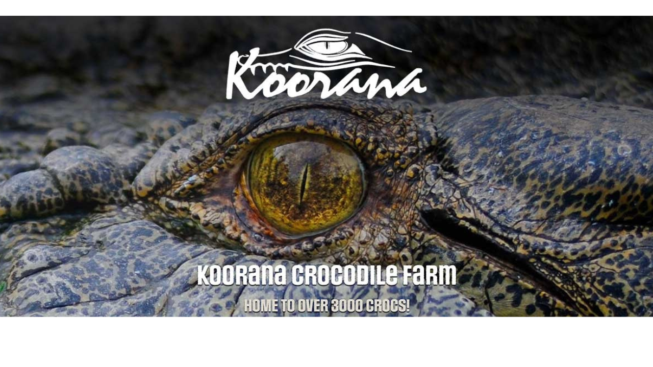 Koorana Crocodile Farm: Guided Experience with Feeding & Croc Handling