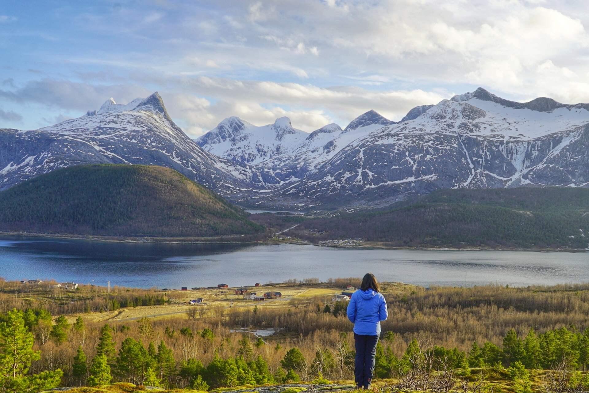 Private Arctic Day Tour from Bodø