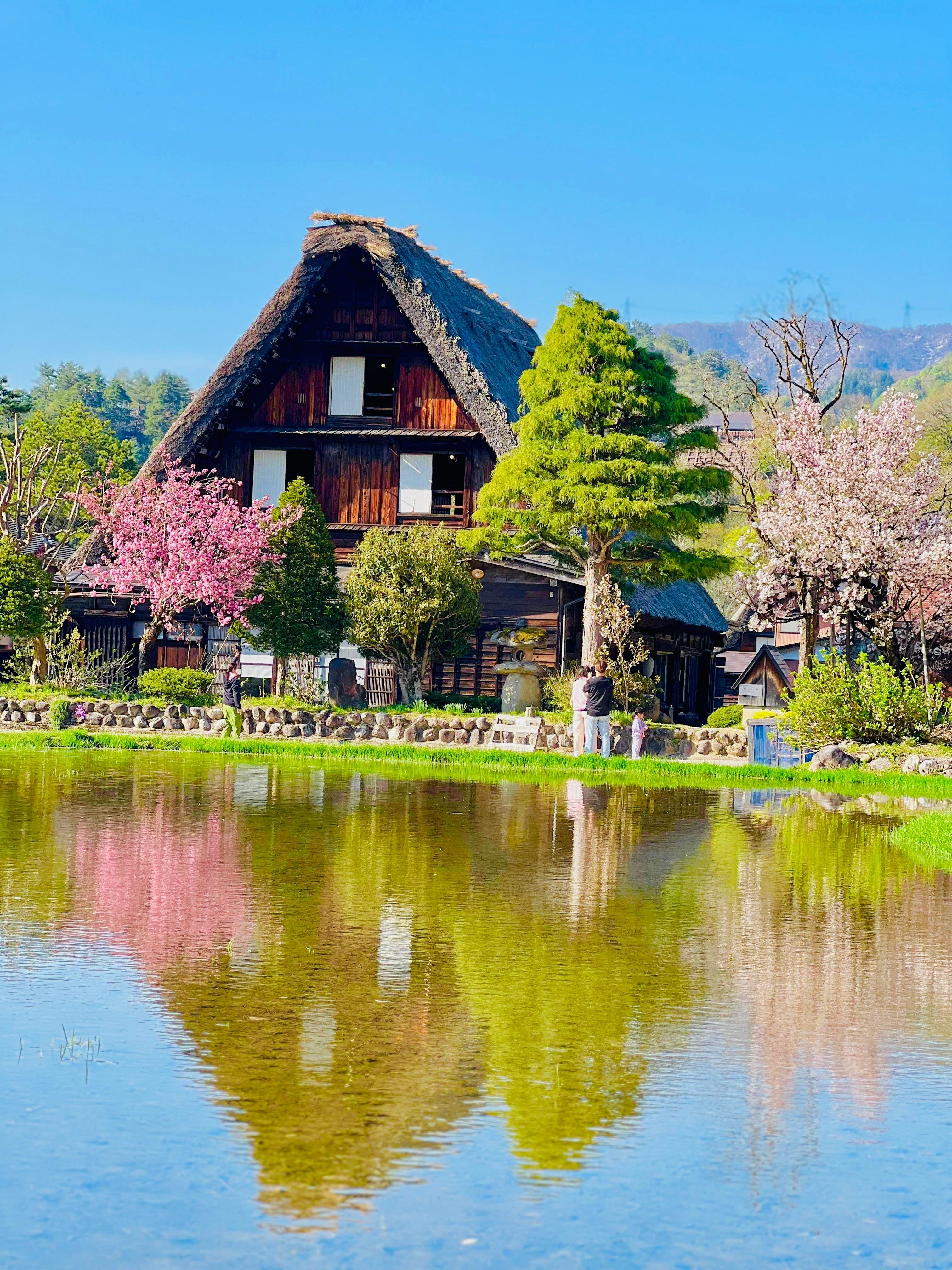 Private Shirakawa-go & Takayama Alpine Day Tour