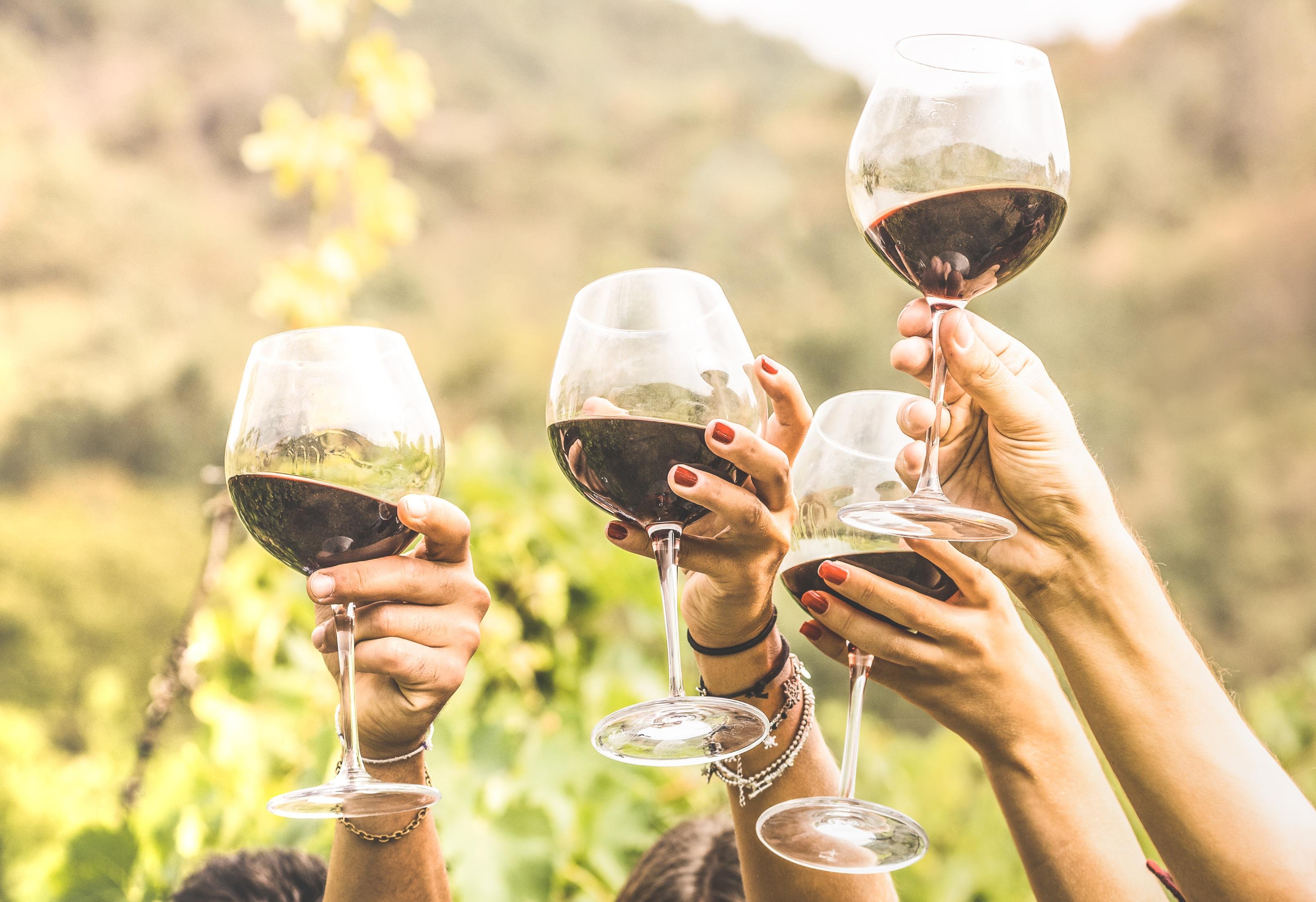 Cape Town Full-Day Wine Tasting & Wine Tram Tour