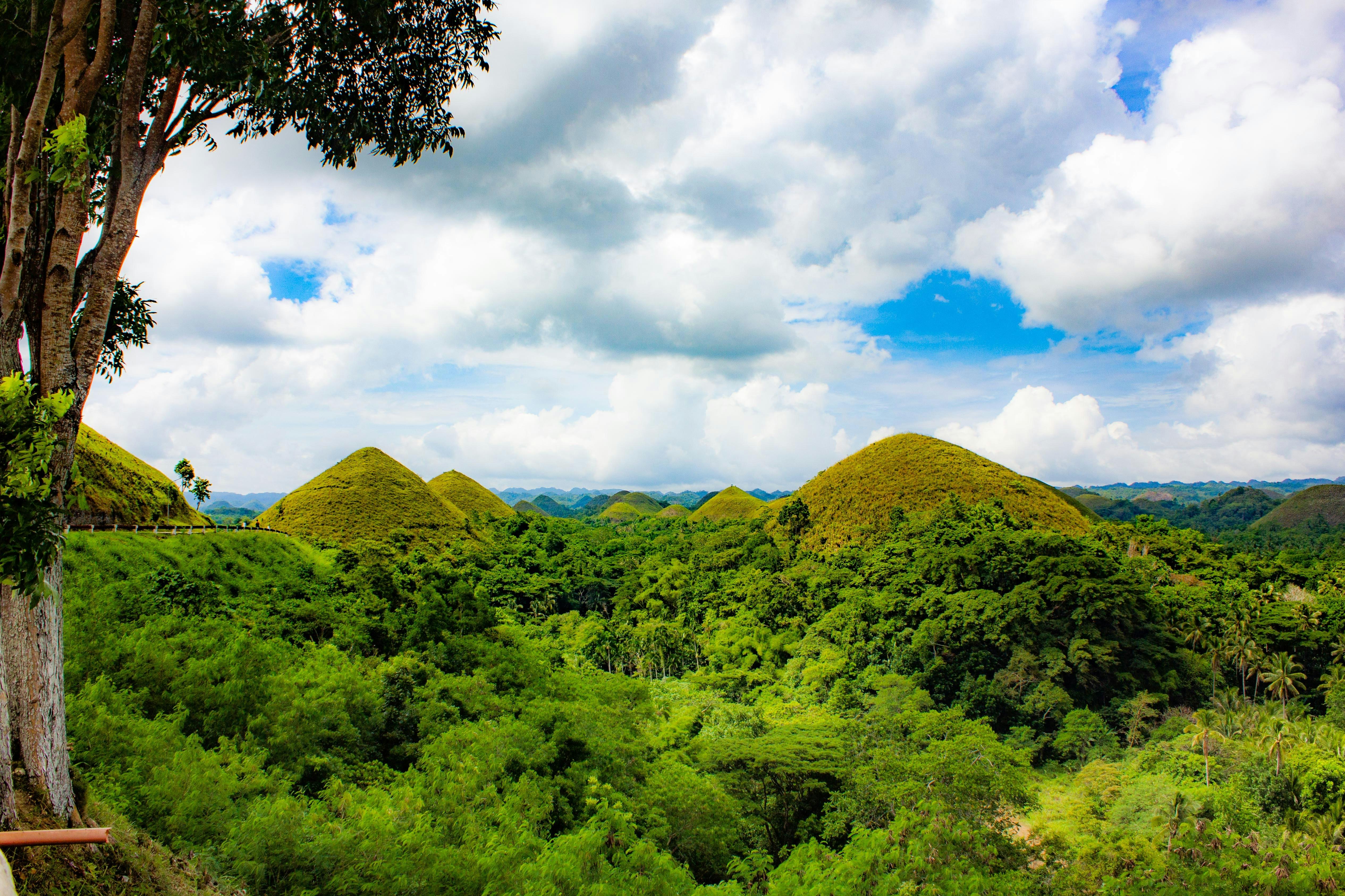 Bohol Countryside Day Tour from Cebu with Loboc River Cruise Lunch