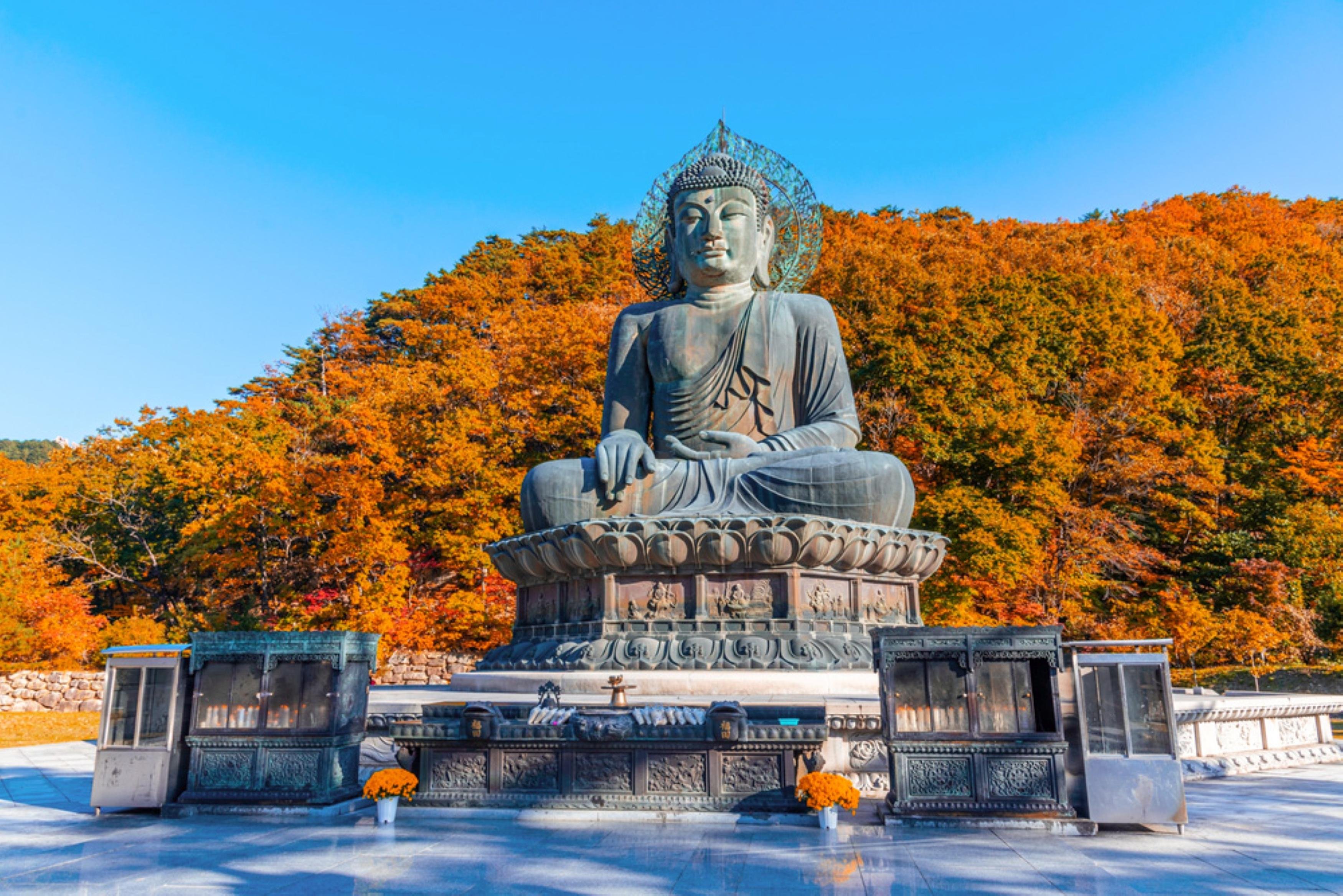 Mount Seorak Day Trip with Nami Island or Naksansa Temple