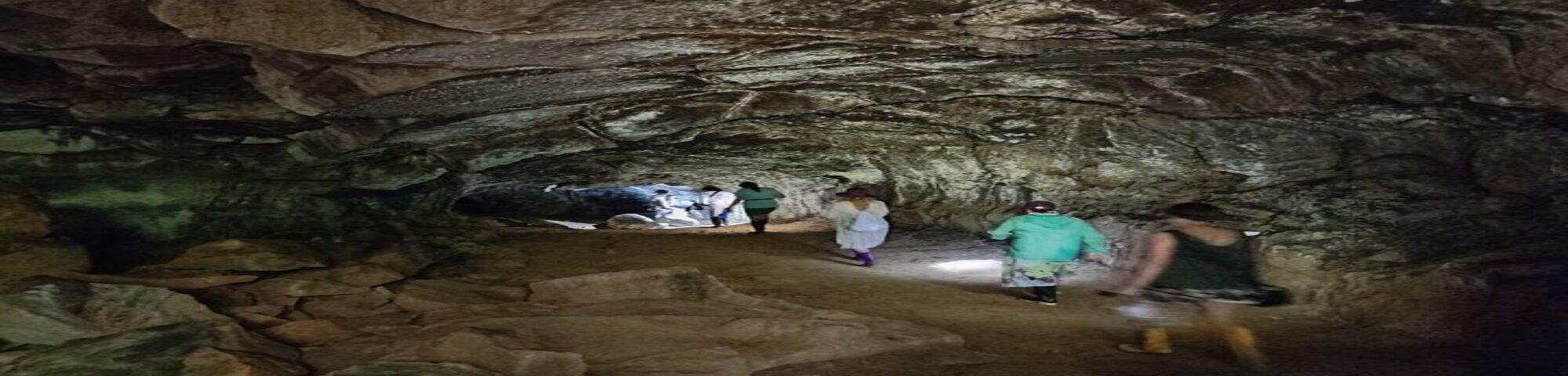 Santa Cruz Giant Tortoises & Lava Tunnels Exploration