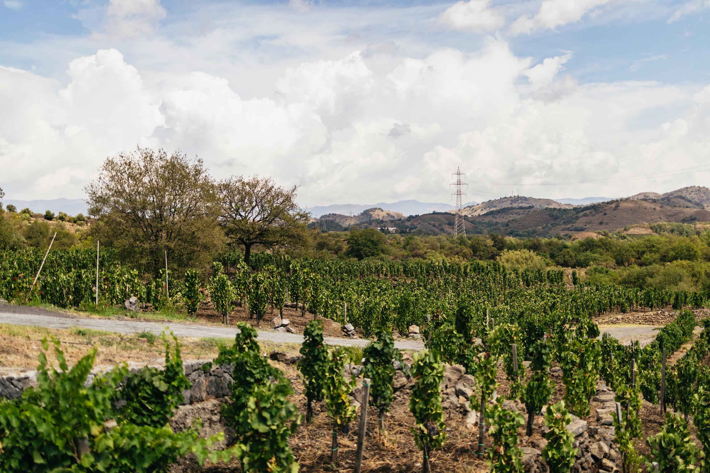 Etna & Alcantara Off-Road ATV Adventure