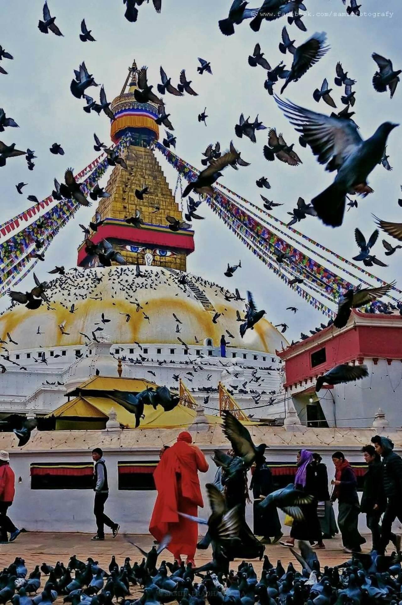 10-Day Himalayan Odyssey: Nepal, Bhutan & Tibet