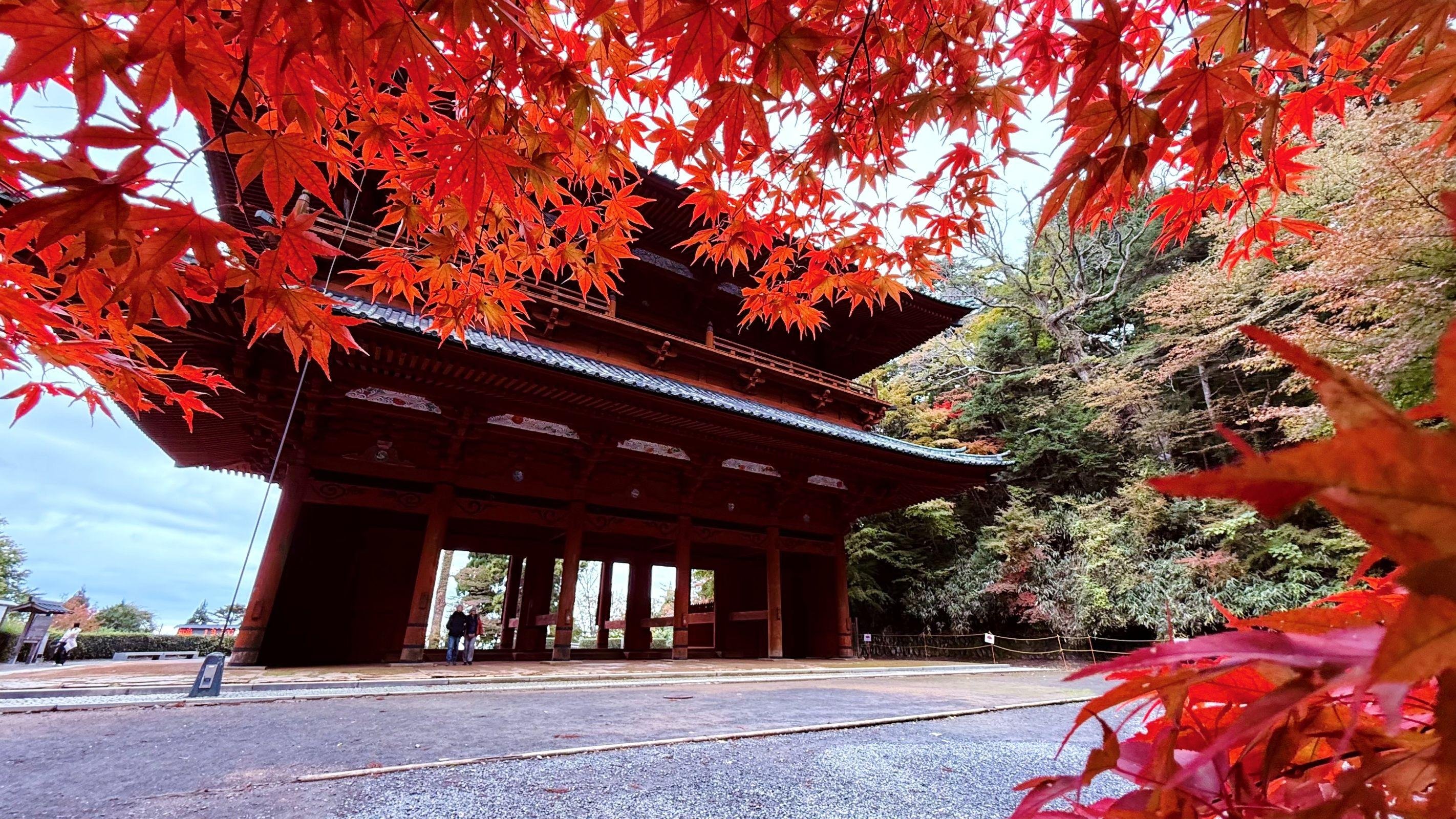 UNESCO Mount Koya: Hidden Gems & Temple Tour (Small Group)