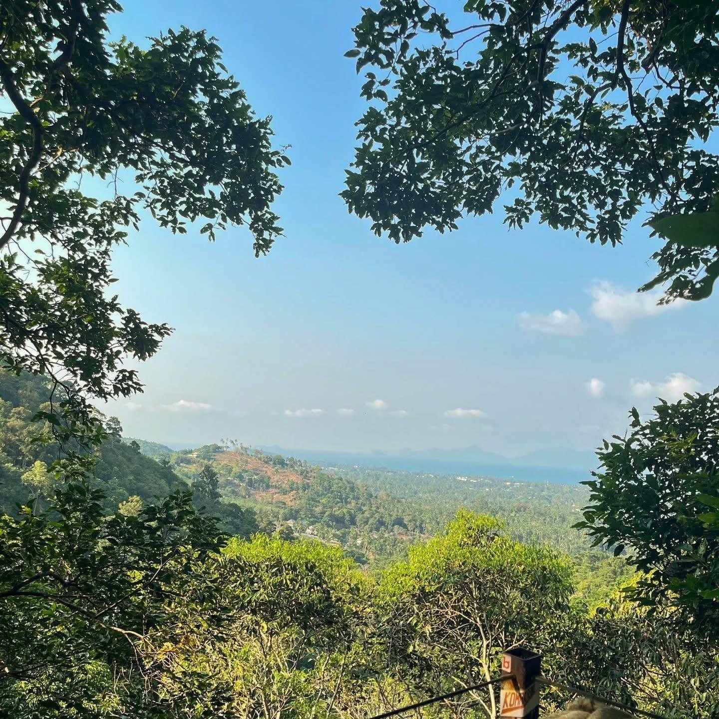 Samui Zipline Adventure: Jungle Canopy, Waterfall & Cafe