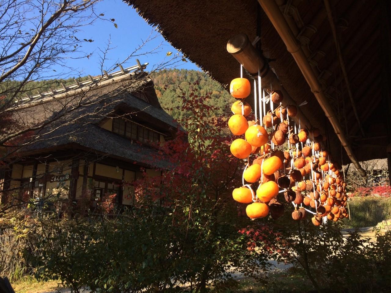 Mt Fuji day trip from Tokyo — image 58