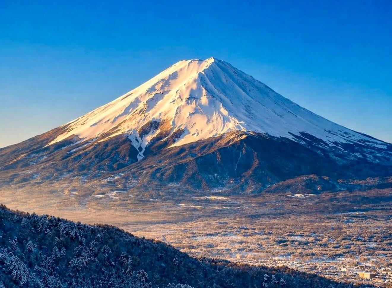 Custom Mt. Fuji & Hakone Private Full-Day Tour from Tokyo