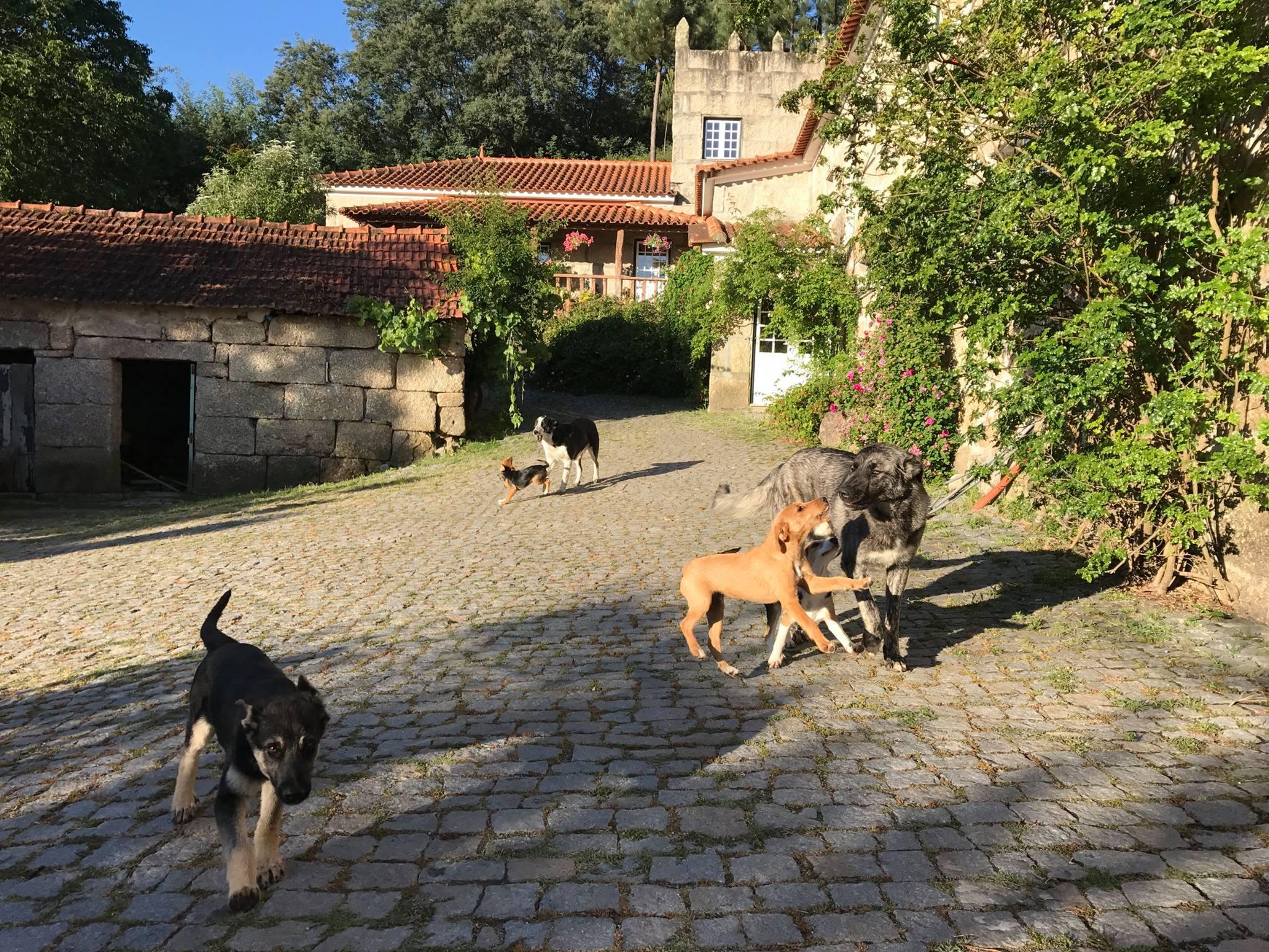 cooking class in Douro Valley — photo 6