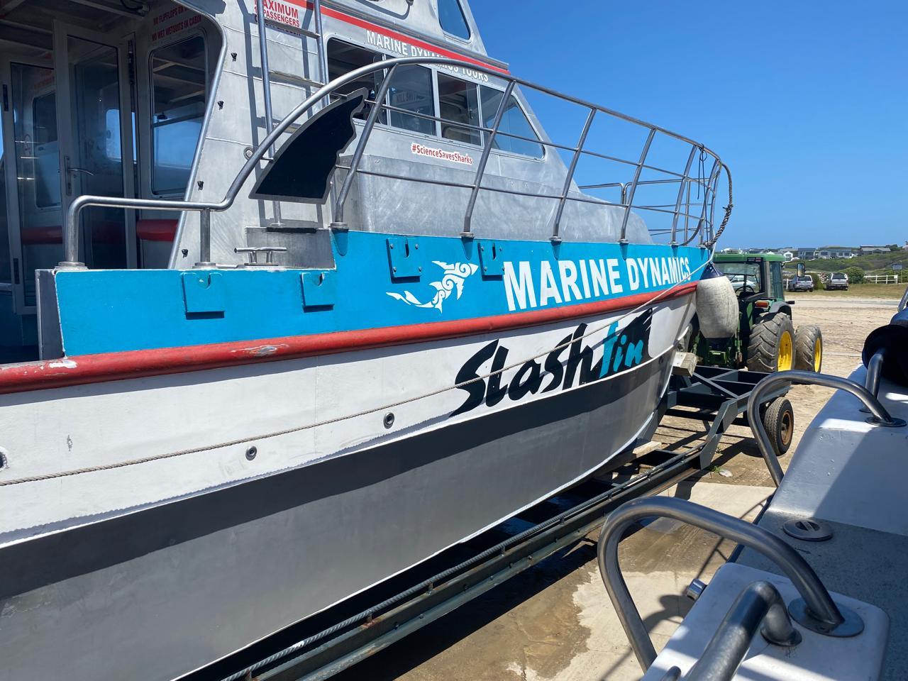 Private Shark Cage Diving Day Tour from Cape Town
