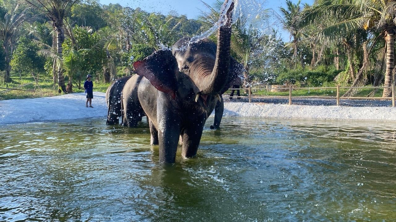 Laem Chabang Port: Sanctuary of Truth & Ethical Elephant Sanctuary Day Tour