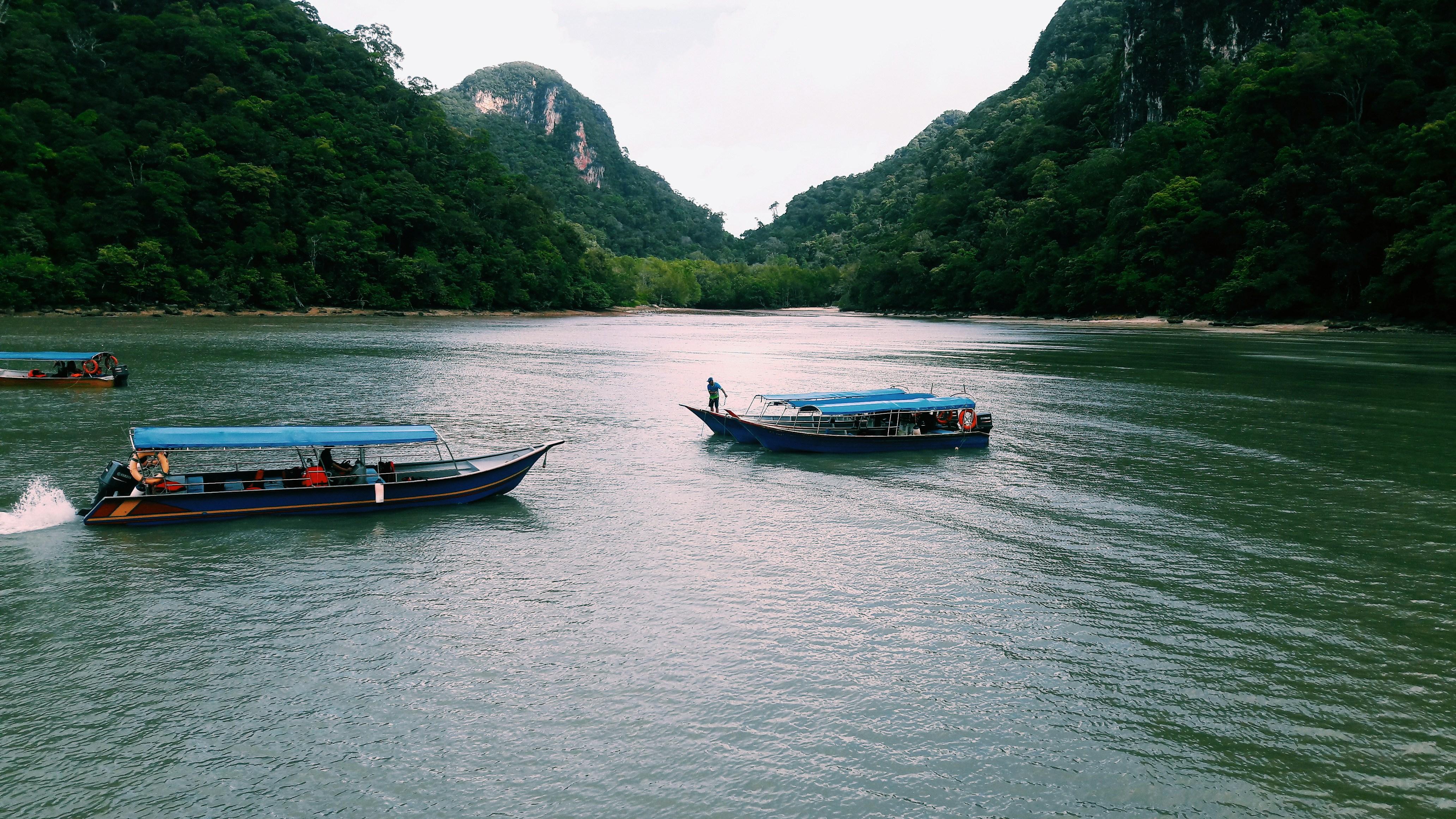Langkawi Mangrove Night Safari with BBQ Dinner