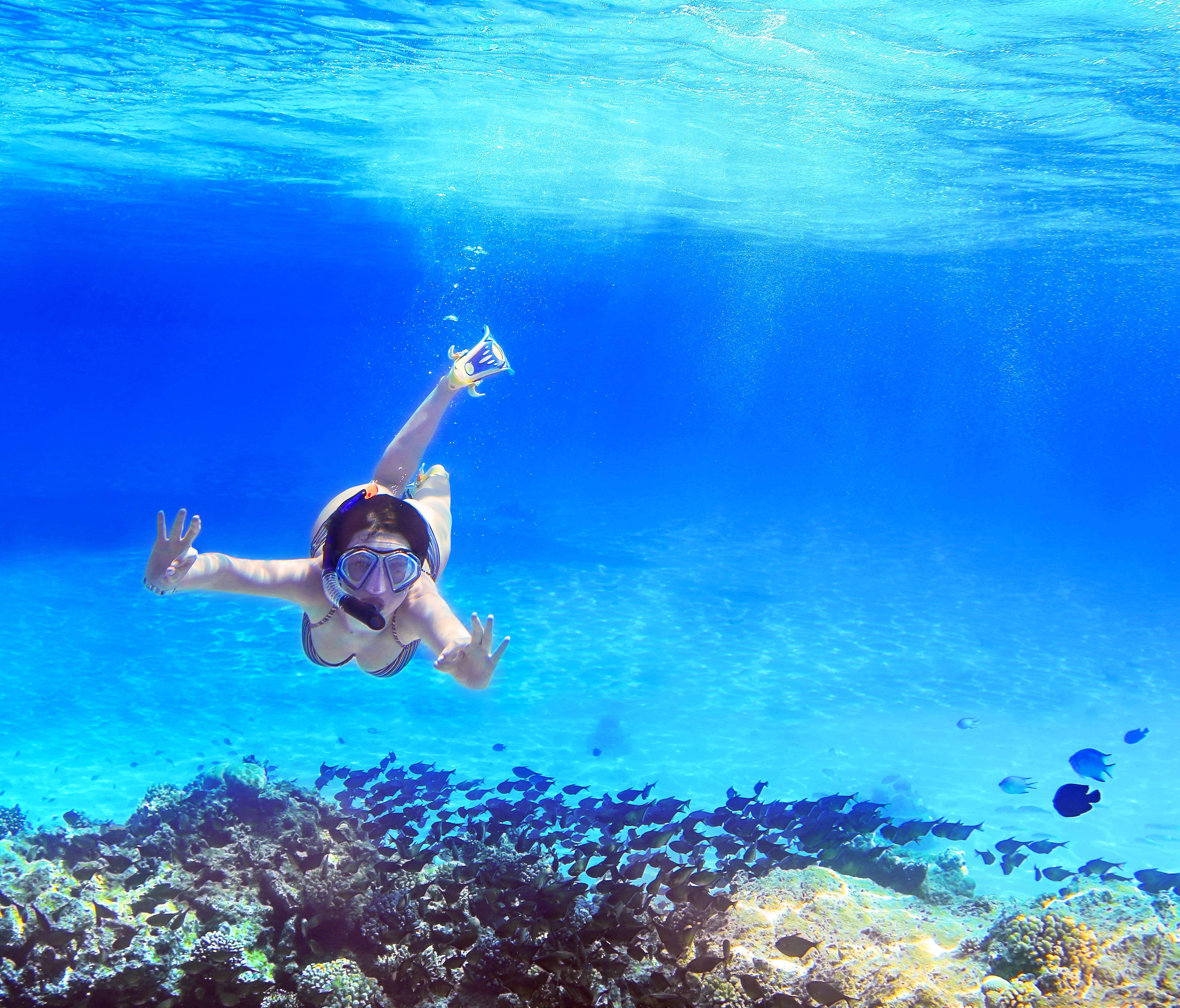 Capri Island Small-Group Boat Tour with Snorkeling & Drinks