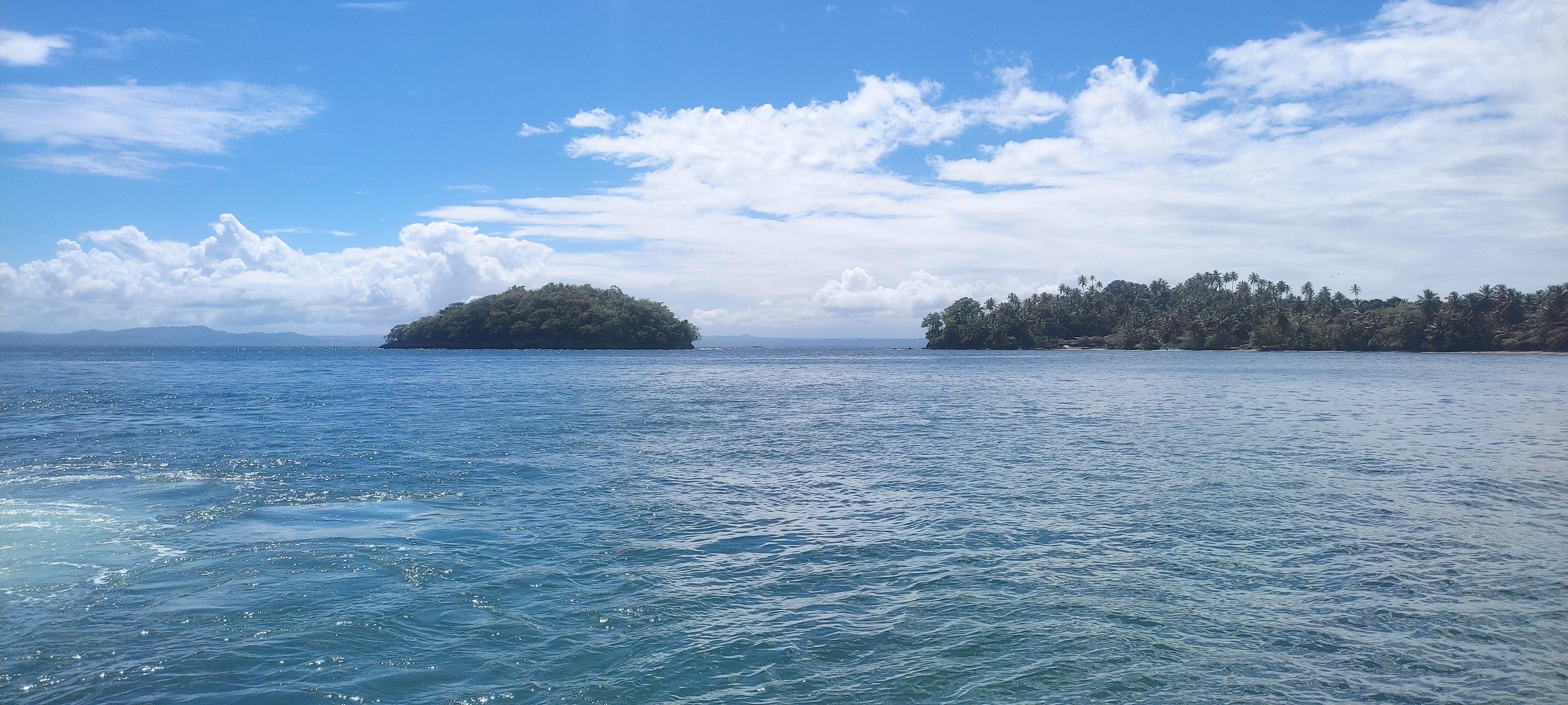 Samaná Bay & El Limón Waterfall Full-Day Adventure
