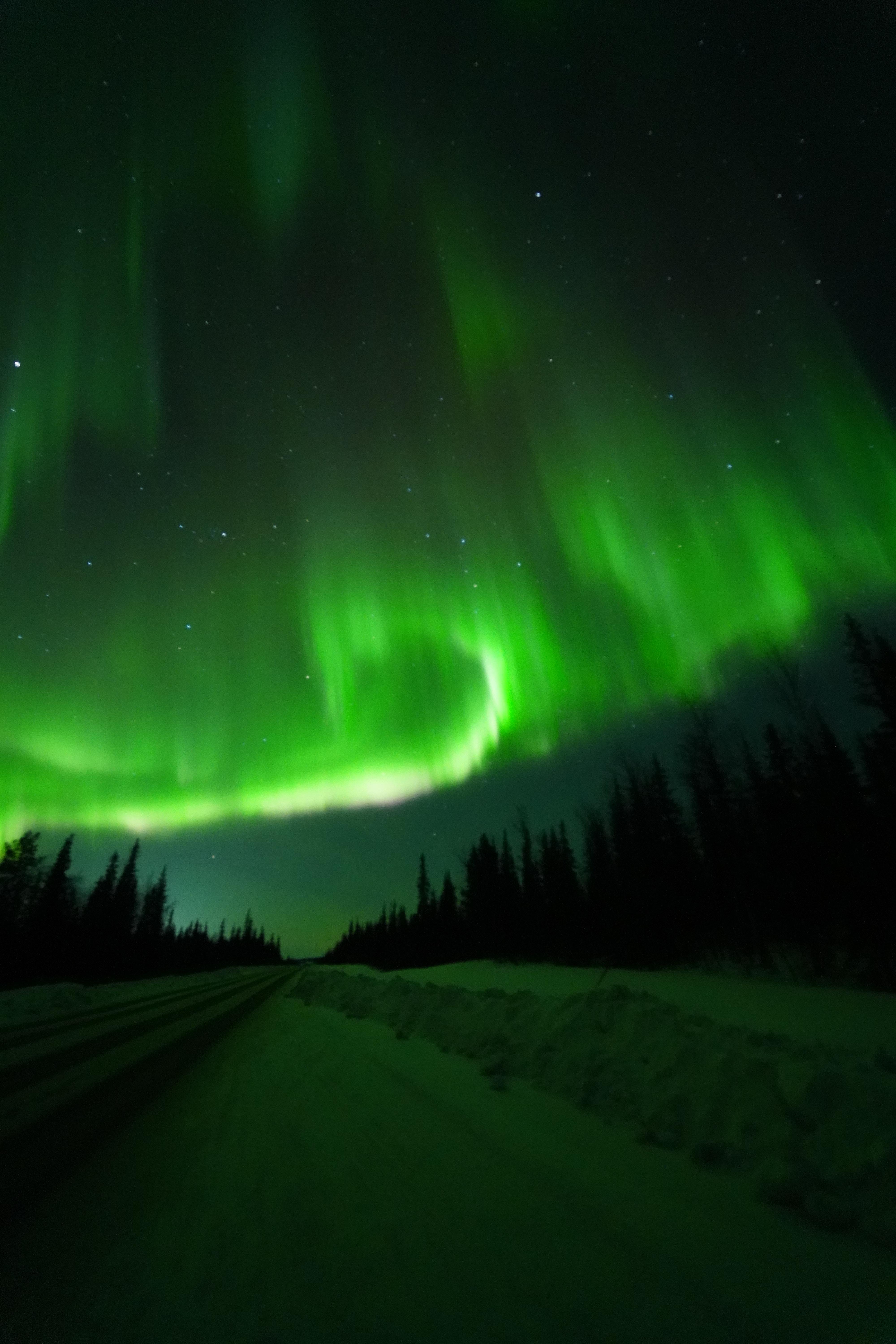 Northern lights tour, image 34
