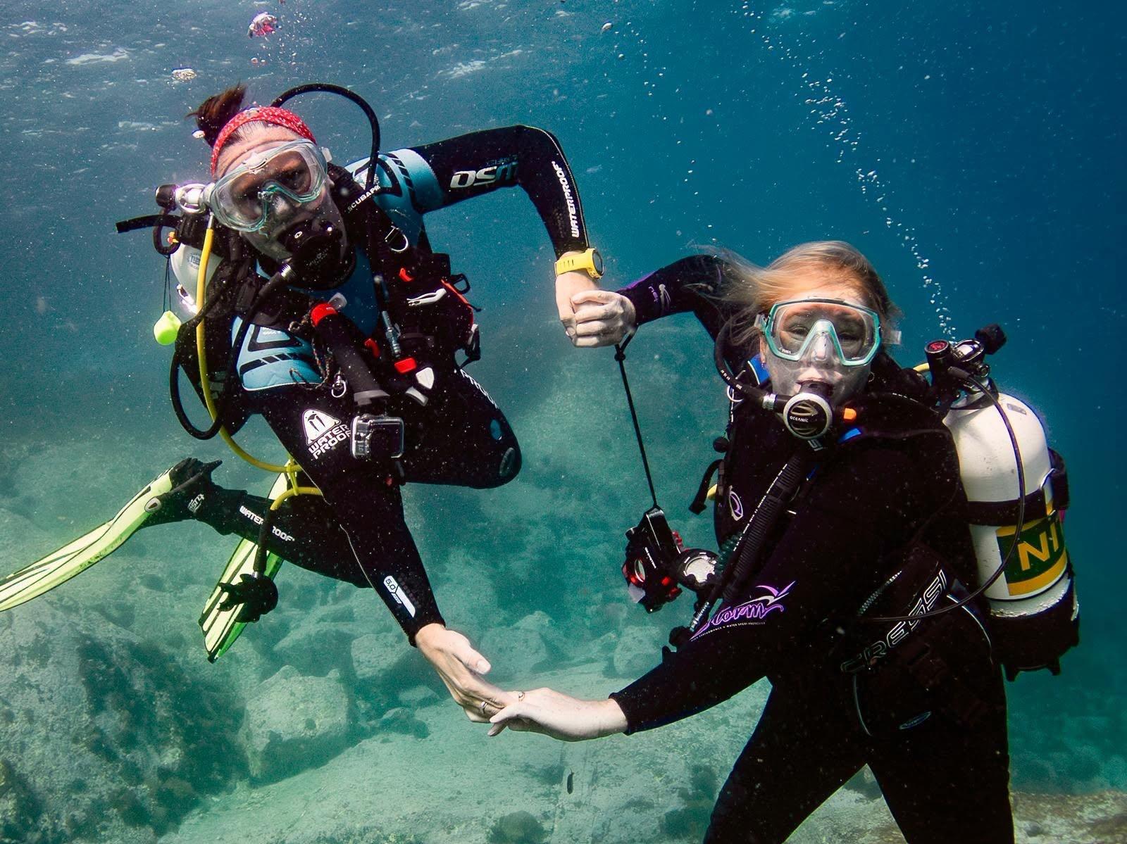 Beginner Scuba Dive at Cabbage Tree Bay Marine Reserve