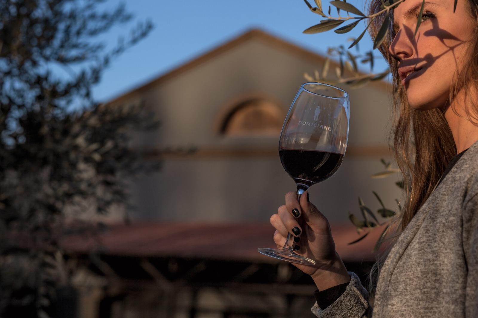 Maipú Wine & Olive Oil Discovery Tour