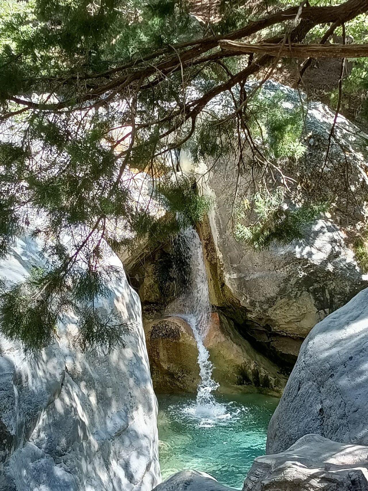 From Chania: Samaria Gorge with Professional Hiking Guide - 2026 (Verified Reviews)