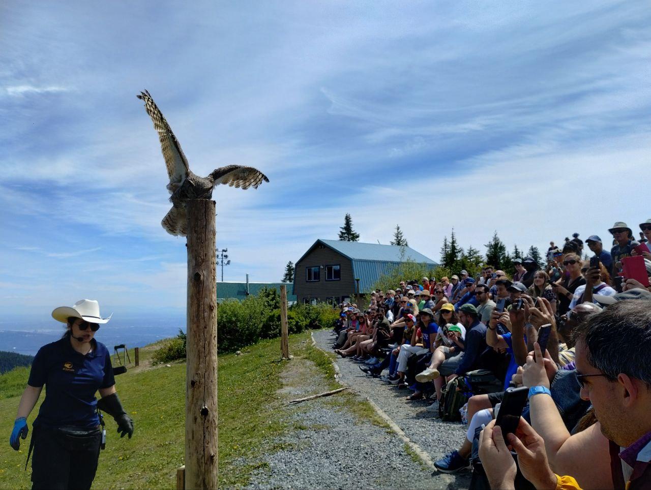 5-in-1 Vancouver Highlights: Grouse Mountain & Capilano Bridge Private Car Tour